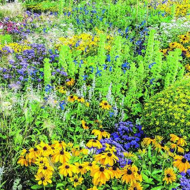 Biodiversität ja, aber nicht zu jedem Preis