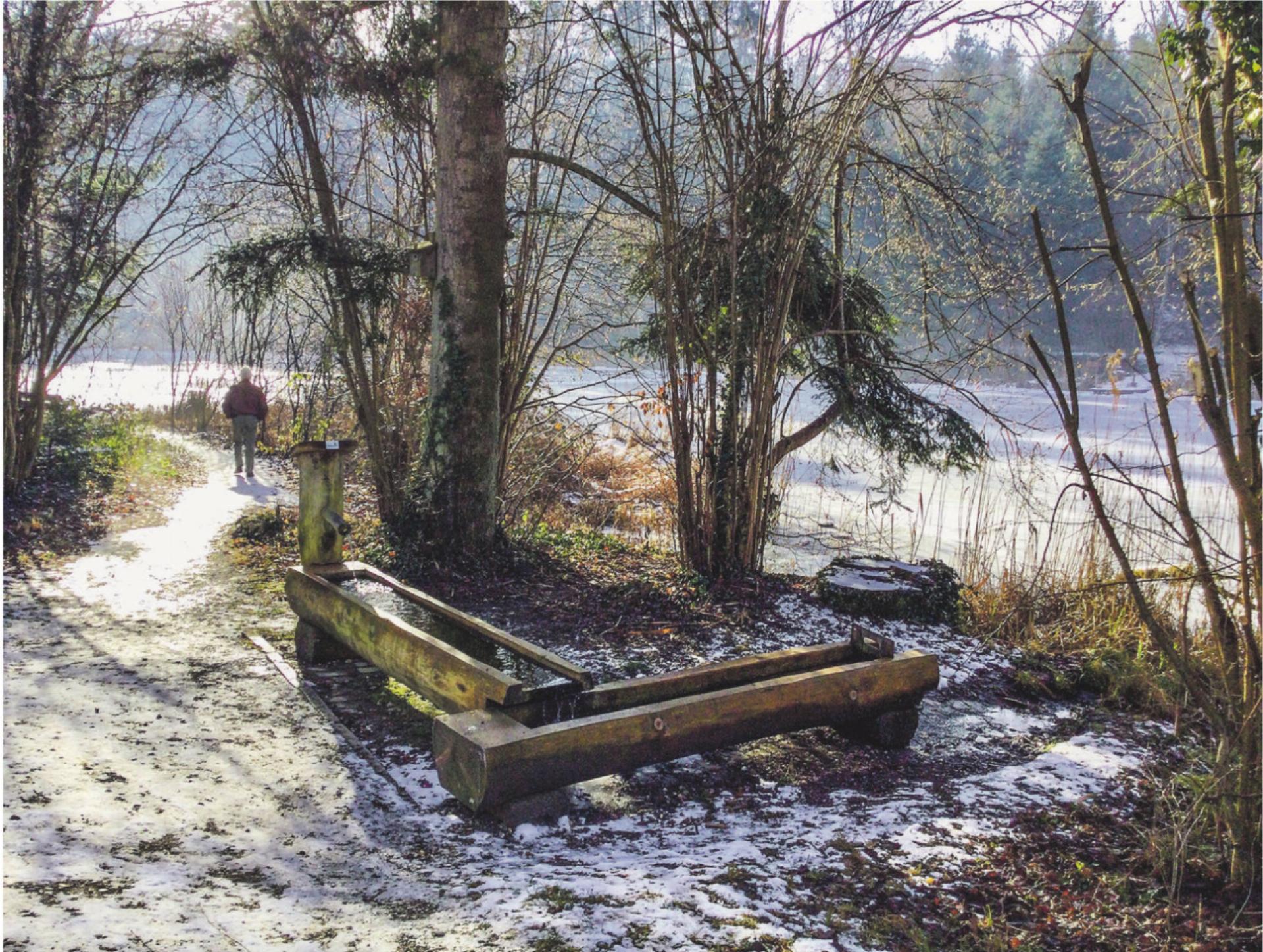 Bild des Tages - Das Bild wird blockiert. – Möglicherweise durch einen aktiven Adblocker.