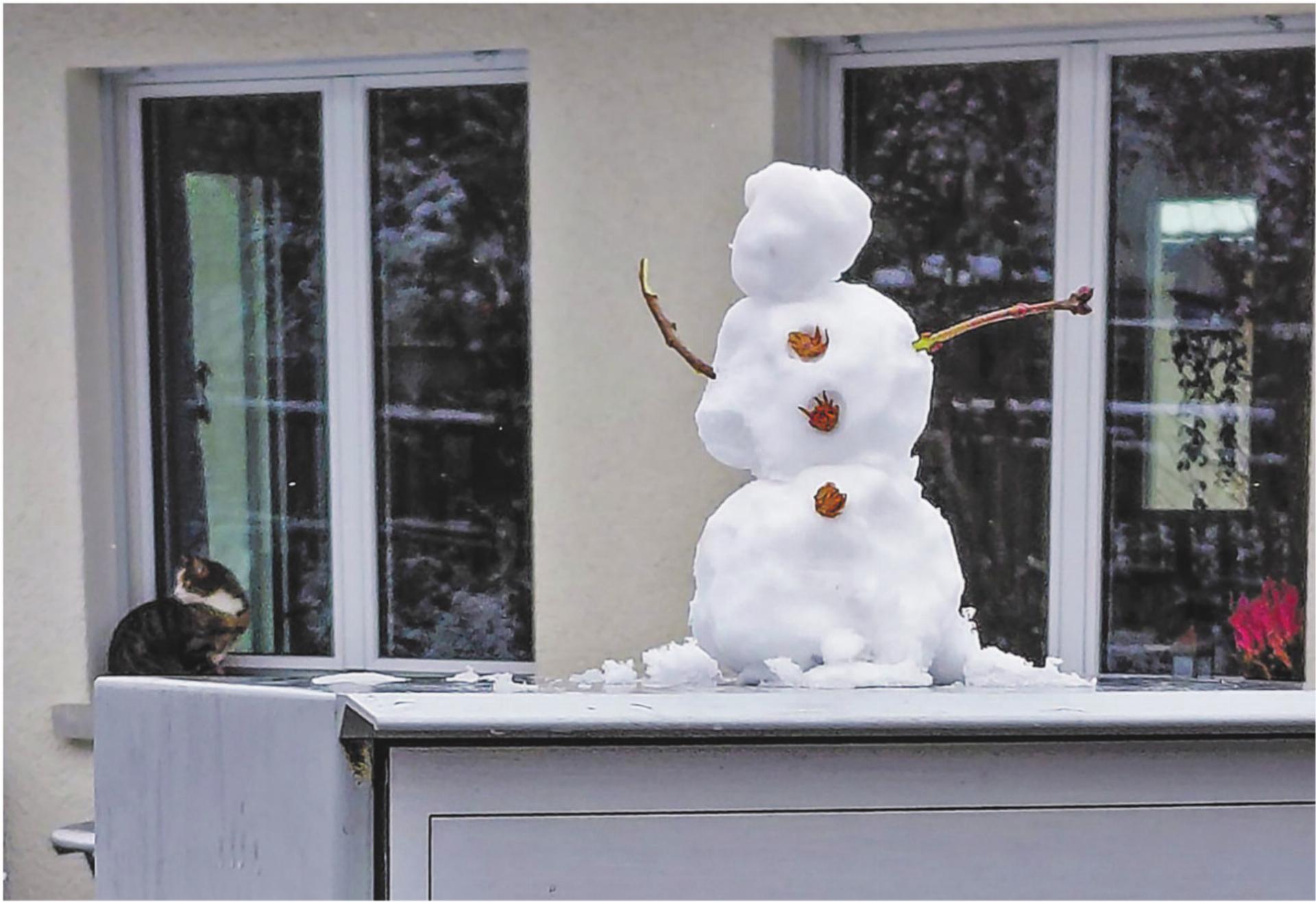 Bild des Tages - Das Bild wird blockiert. – Möglicherweise durch einen aktiven Adblocker.