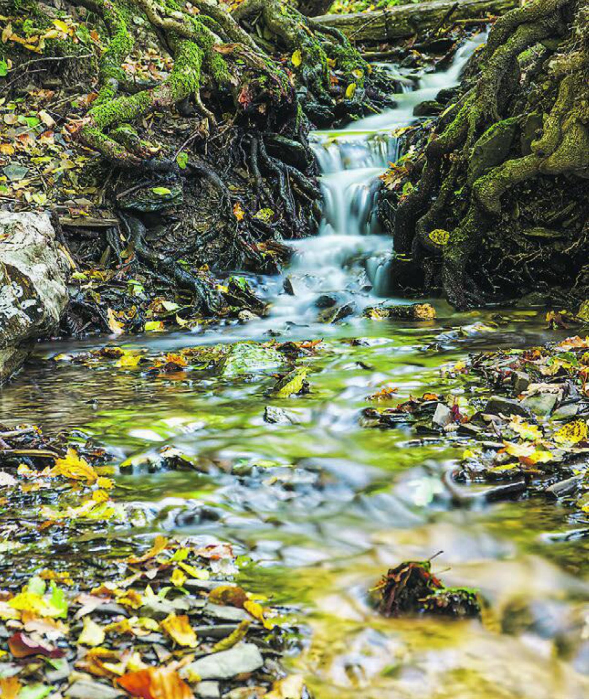 Ideen für Wasserprojekte jetzt anmelden