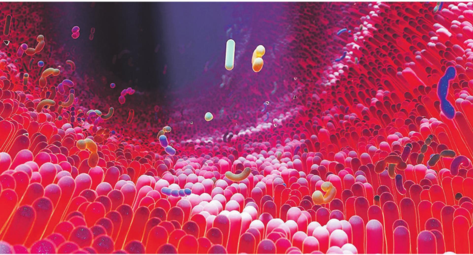 Vortrag zur Darmgesundheit in Aadorf - Das Bild wird blockiert. – Möglicherweise durch einen aktiven Adblocker.