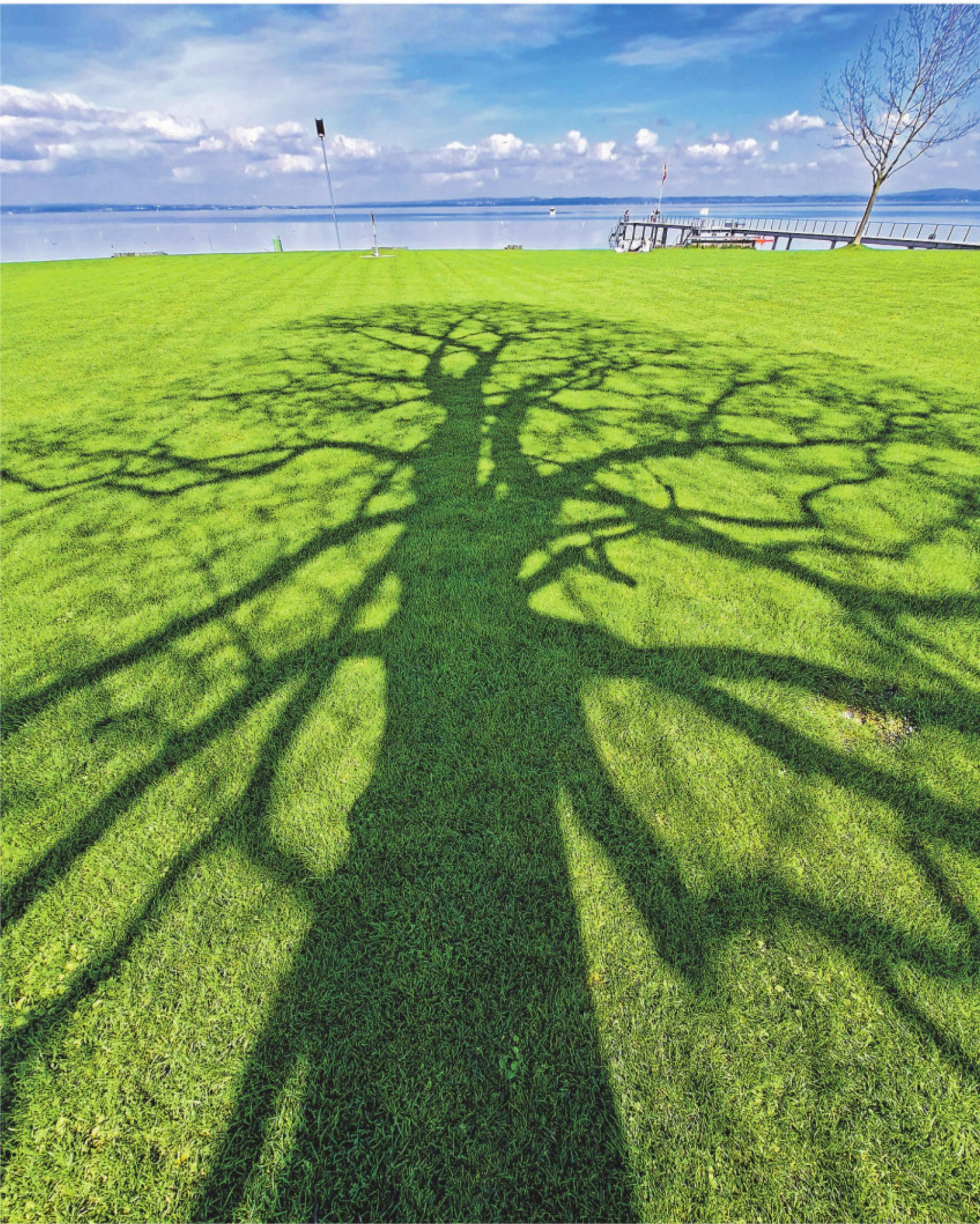 Bild des Tages - Das Bild wird blockiert. – Möglicherweise durch einen aktiven Adblocker.