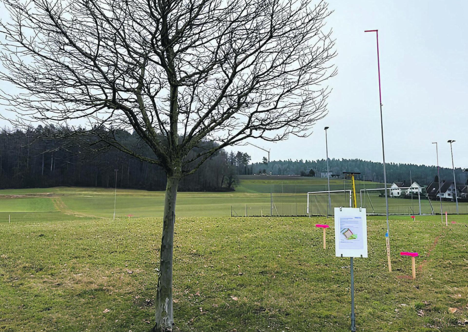 Bewegungsraum mit sportlicher und sozialer Funktion - Das Bild wird blockiert. – Möglicherweise durch einen aktiven Adblocker.