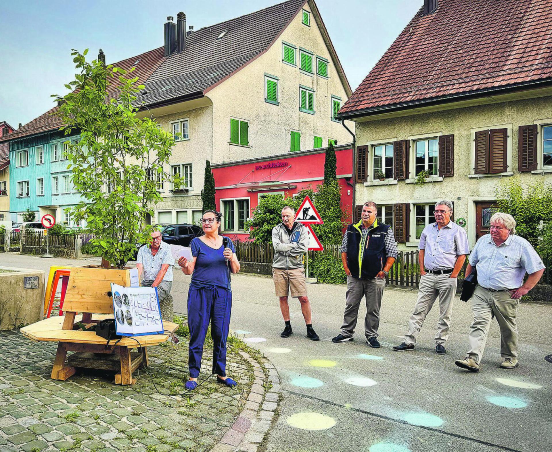 Damit Elgg noch schöner und lebenswerter wird