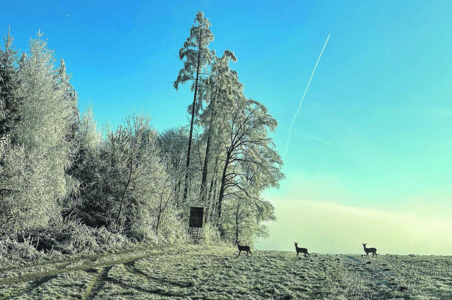 Bild des Tages - Das Bild wird blockiert. – Möglicherweise durch einen aktiven Adblocker.