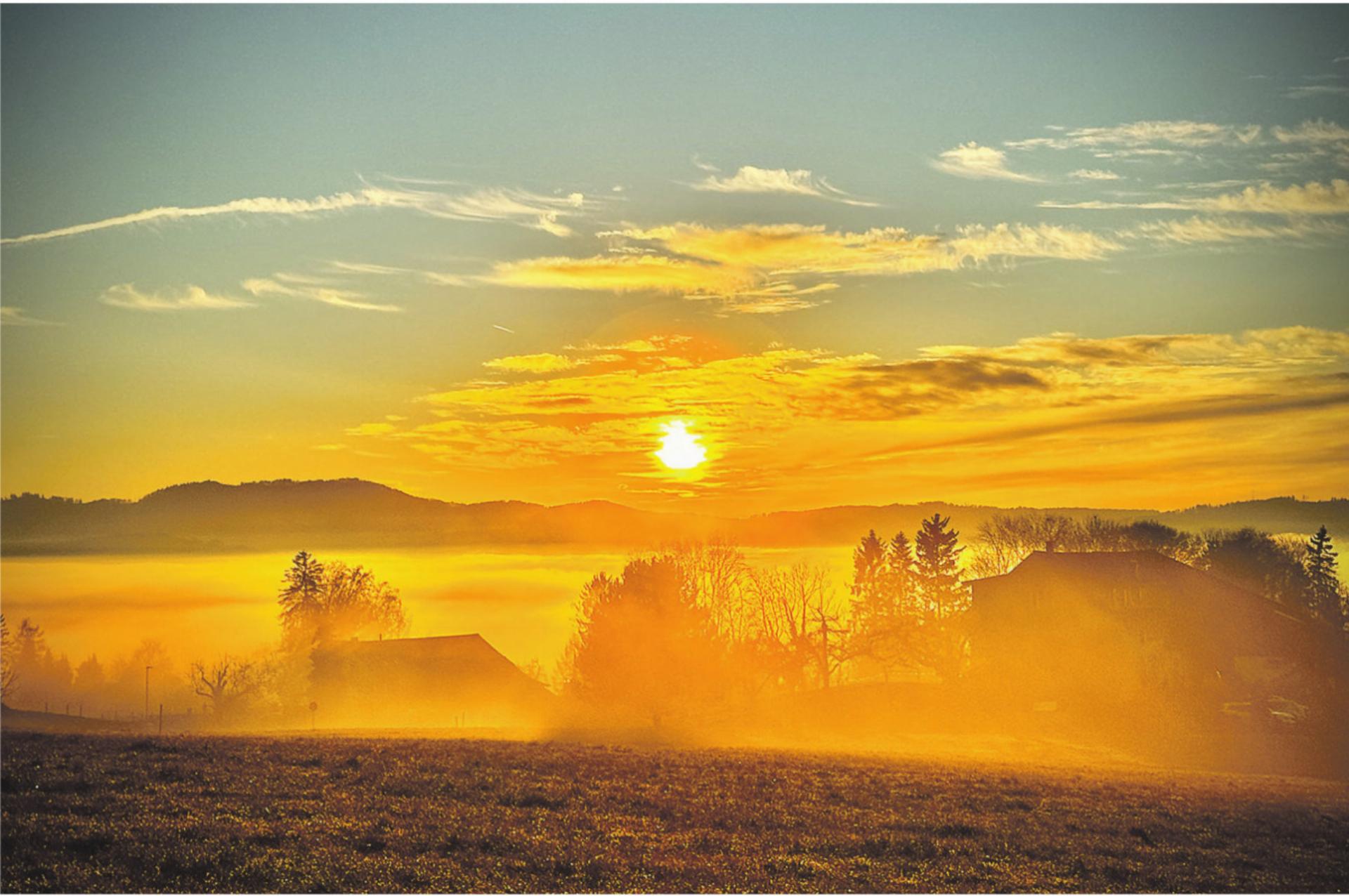 Bild des Tages - Das Bild wird blockiert. – Möglicherweise durch einen aktiven Adblocker.