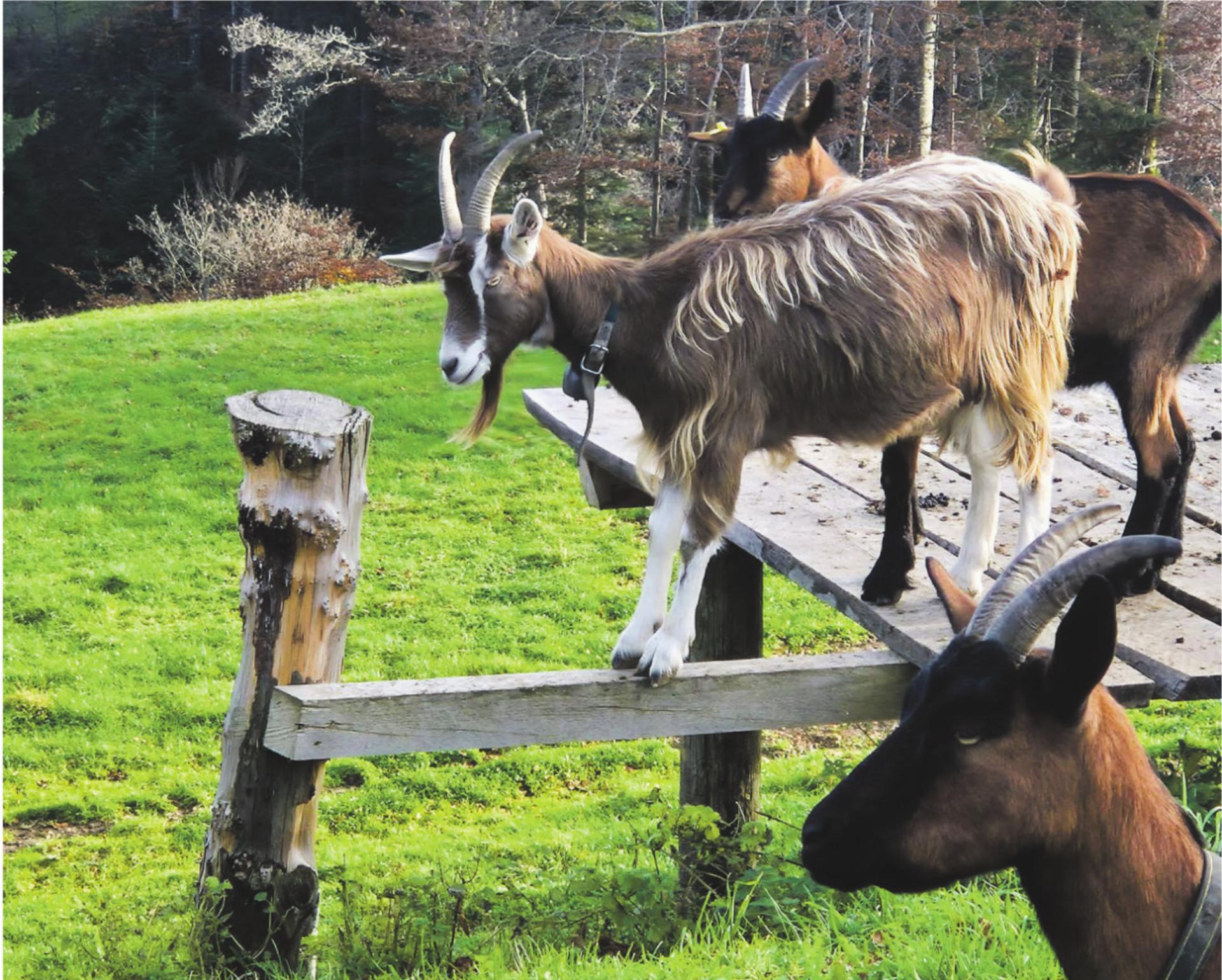 Bild des Tages - Das Bild wird blockiert. – Möglicherweise durch einen aktiven Adblocker.