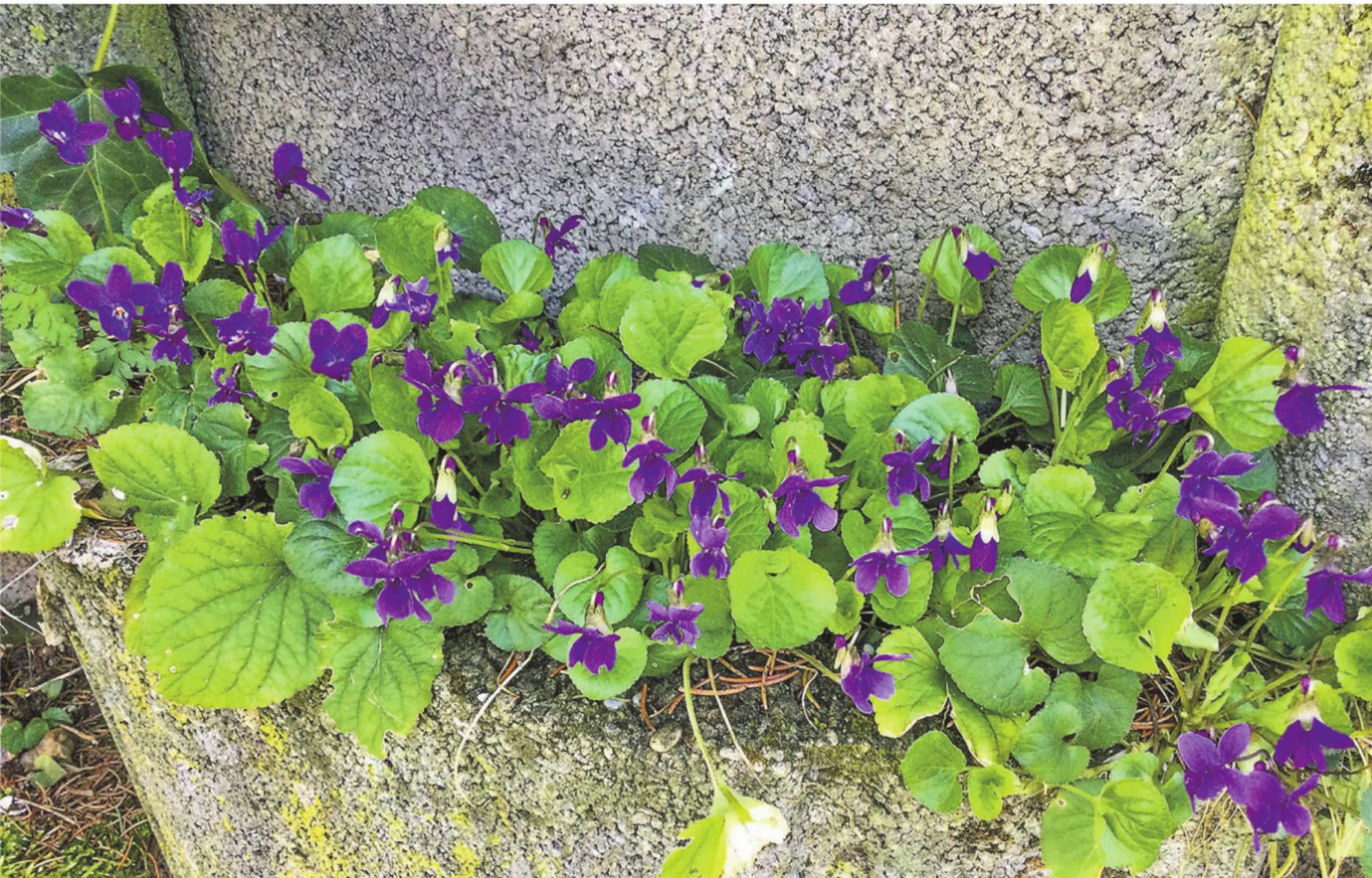 Bild des Tages - Das Bild wird blockiert. – Möglicherweise durch einen aktiven Adblocker.