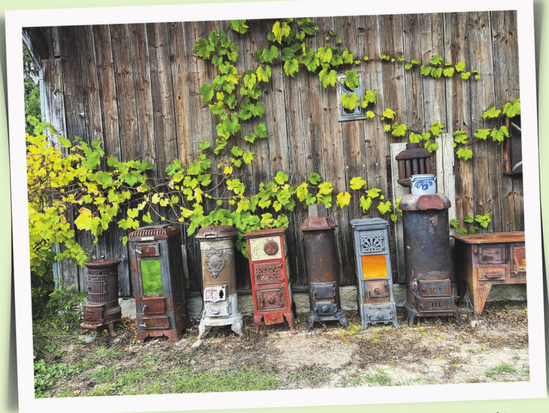 Aus dem Leserbilderfundus - Das Bild wird blockiert. – Möglicherweise durch einen aktiven Adblocker.