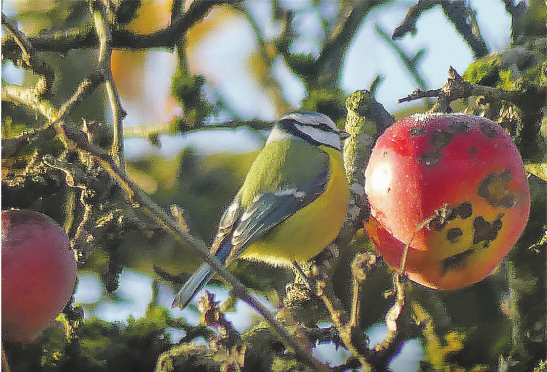 Bild des Tages - Das Bild wird blockiert. – Möglicherweise durch einen aktiven Adblocker.