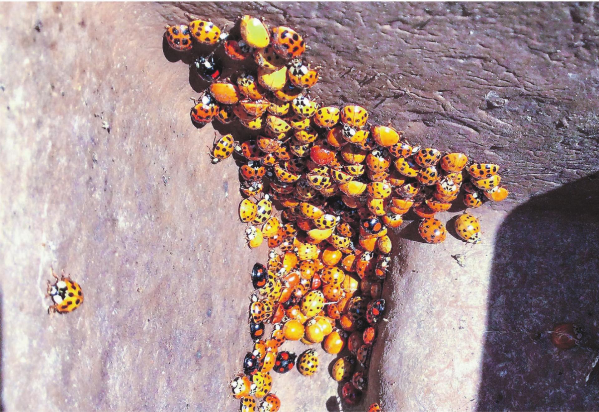 Bild des Tages - Das Bild wird blockiert. – Möglicherweise durch einen aktiven Adblocker.