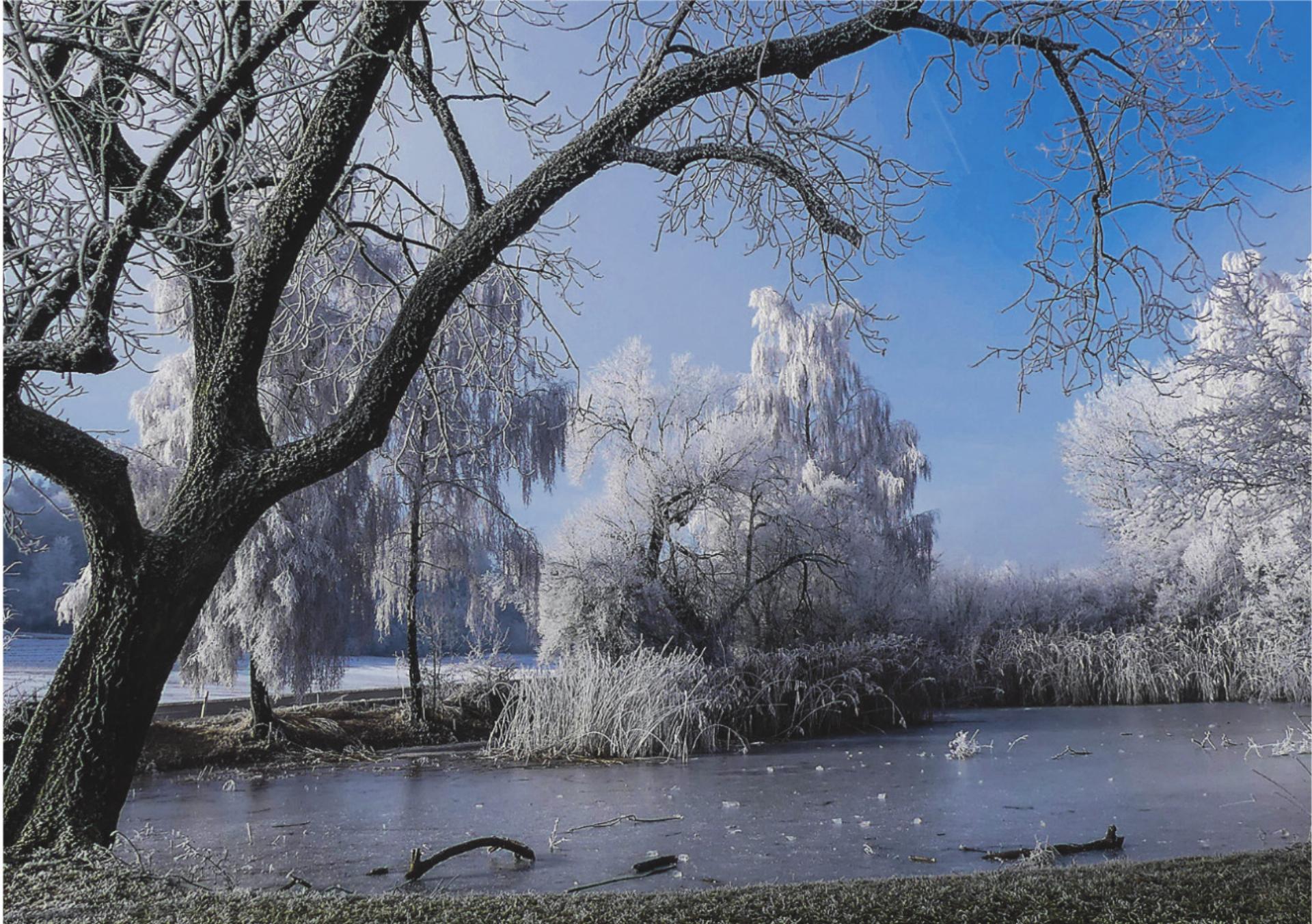 Bild des Tages - Das Bild wird blockiert. – Möglicherweise durch einen aktiven Adblocker.