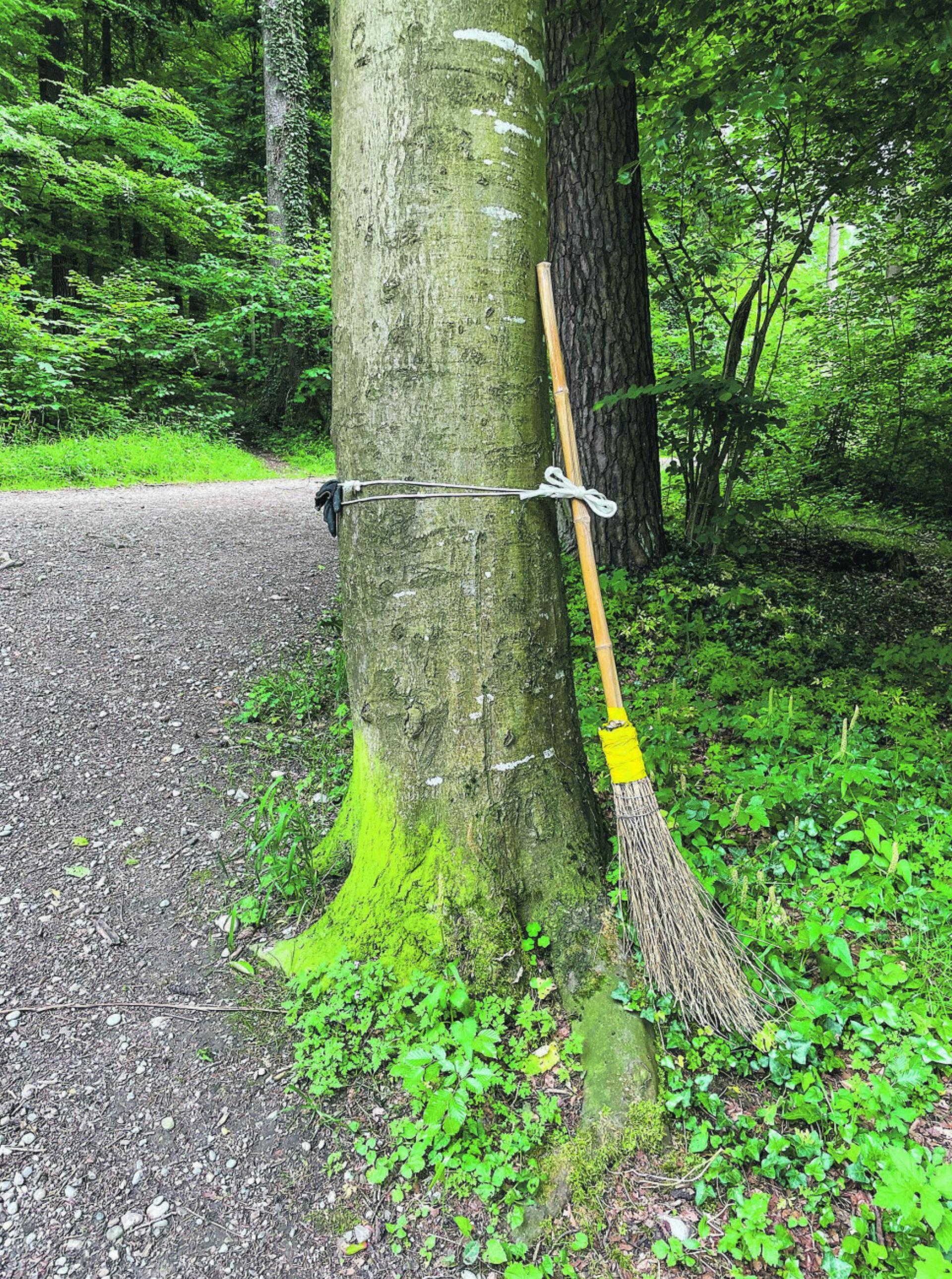 Bild des Tages, 07. Juni 2025