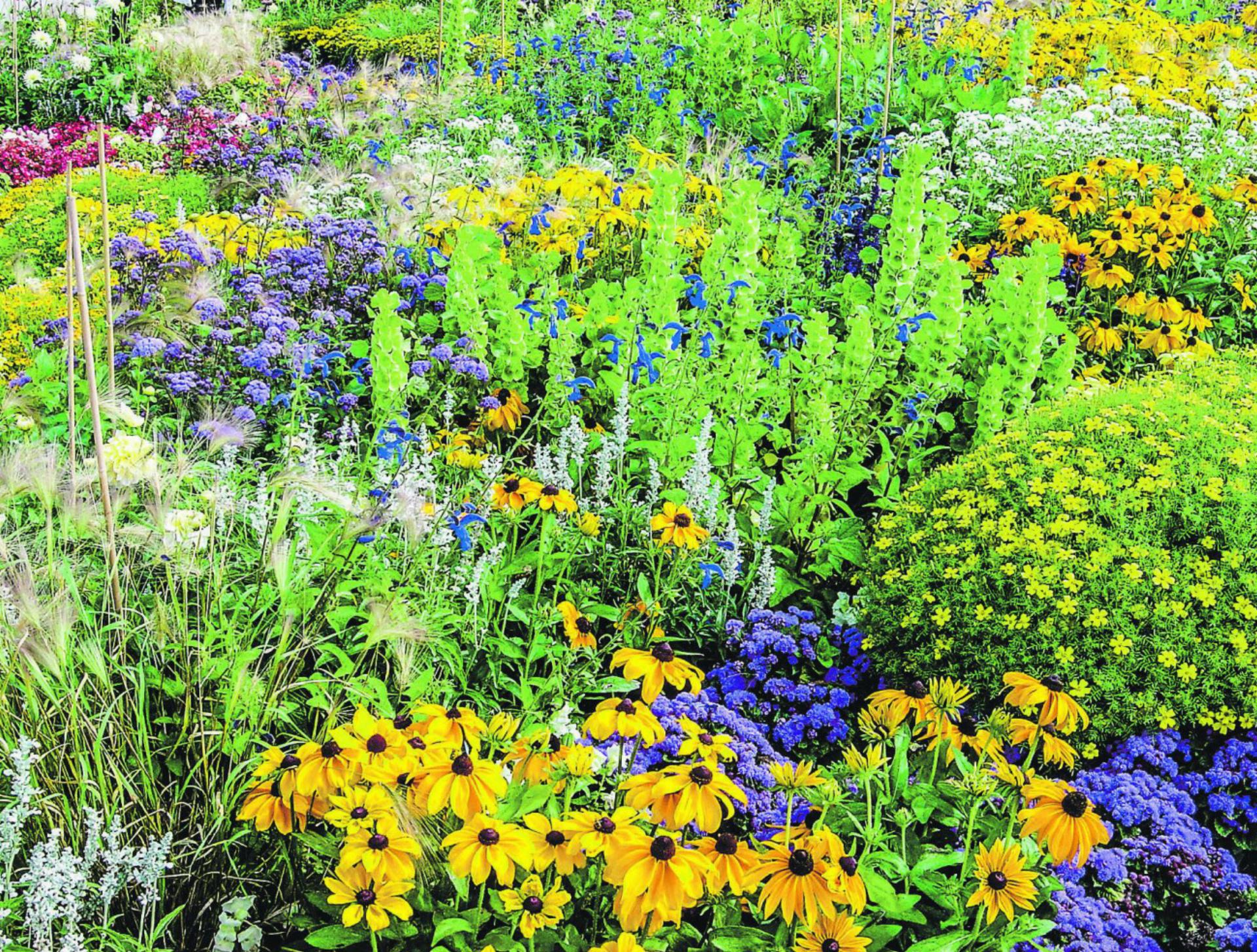 Biodiversität ja, aber nicht zu jedem Preis