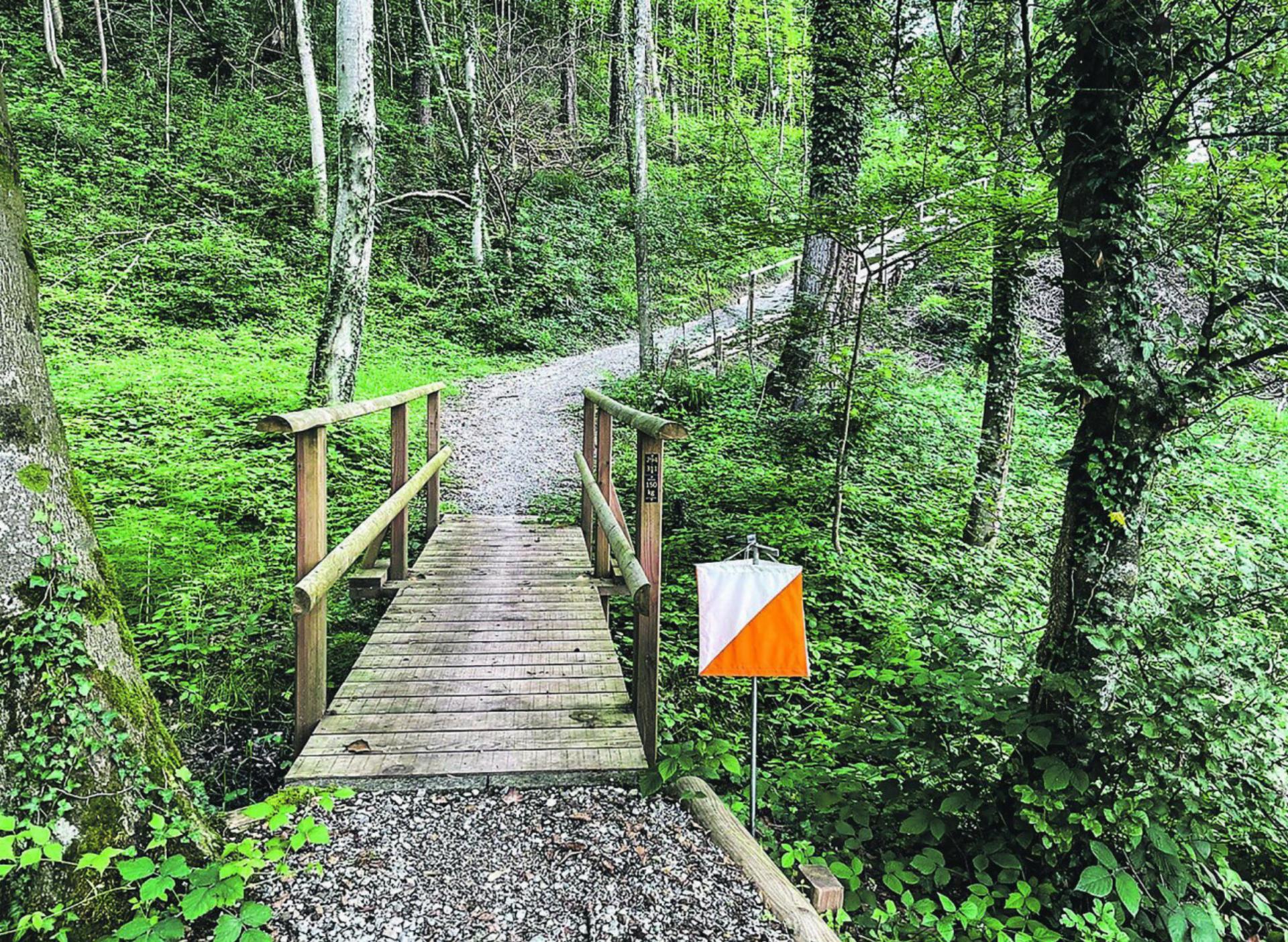 Auf Postenjagd im Schneitberg