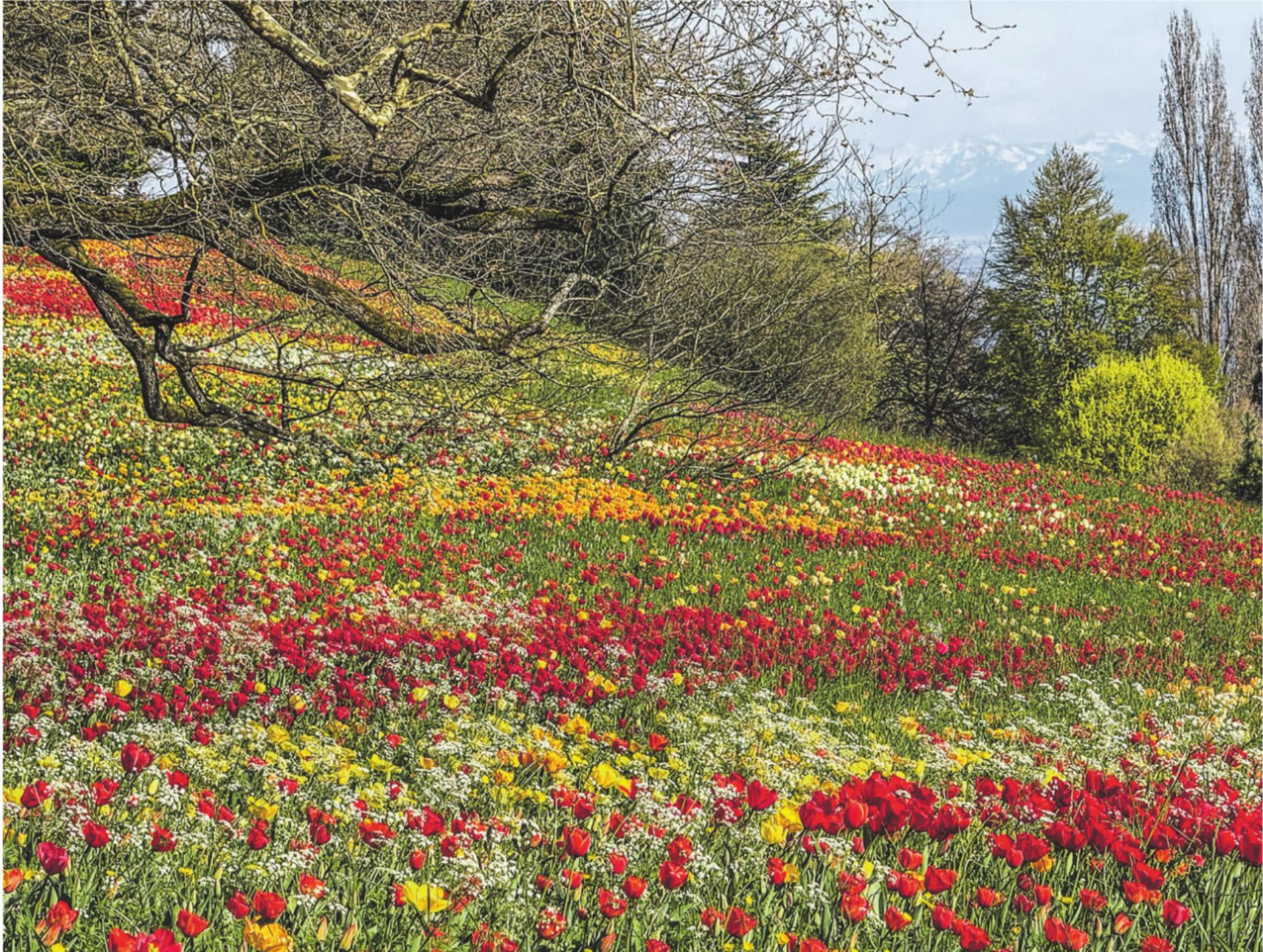 Bild des Tages - Das Bild wird blockiert. – Möglicherweise durch einen aktiven Adblocker.