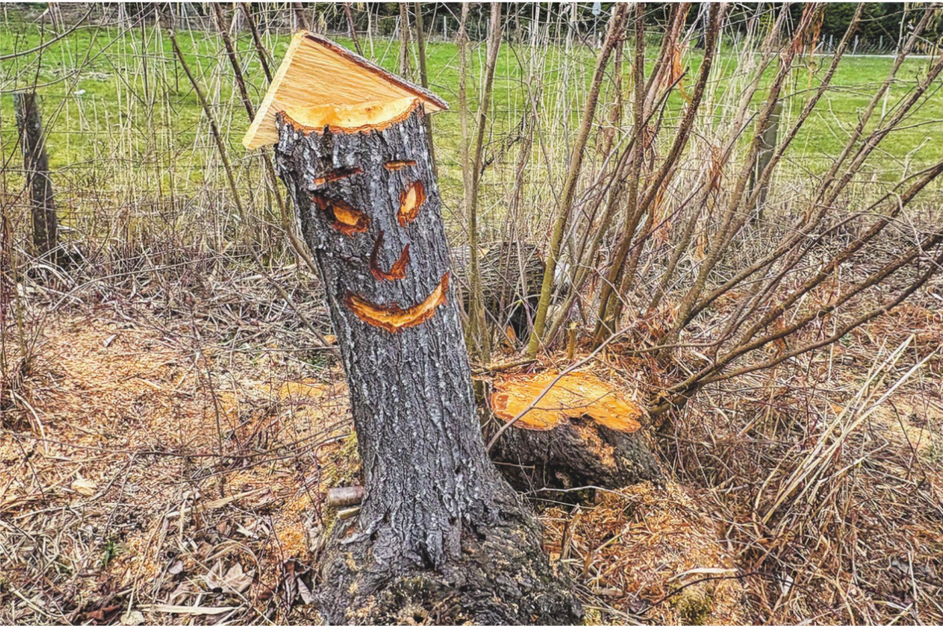 Bild des Tages - Das Bild wird blockiert. – Möglicherweise durch einen aktiven Adblocker.