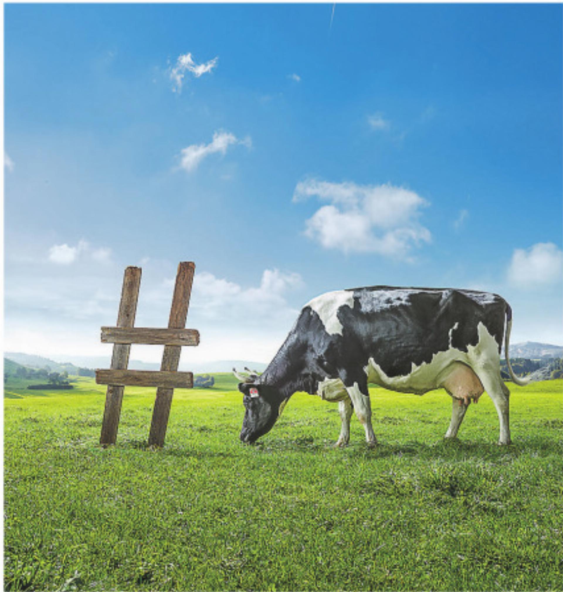 Der Tag der Schweizer Milch bringt Land und Leute zusammen - Das Bild wird blockiert. – Möglicherweise durch einen aktiven Adblocker.