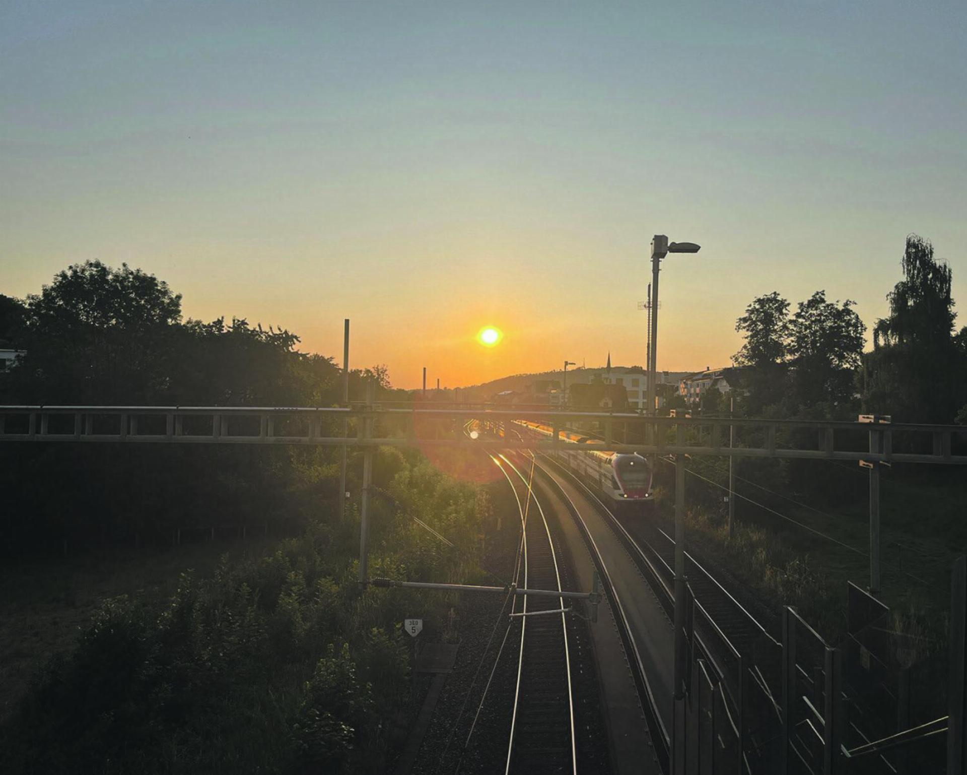 Bild des Tages