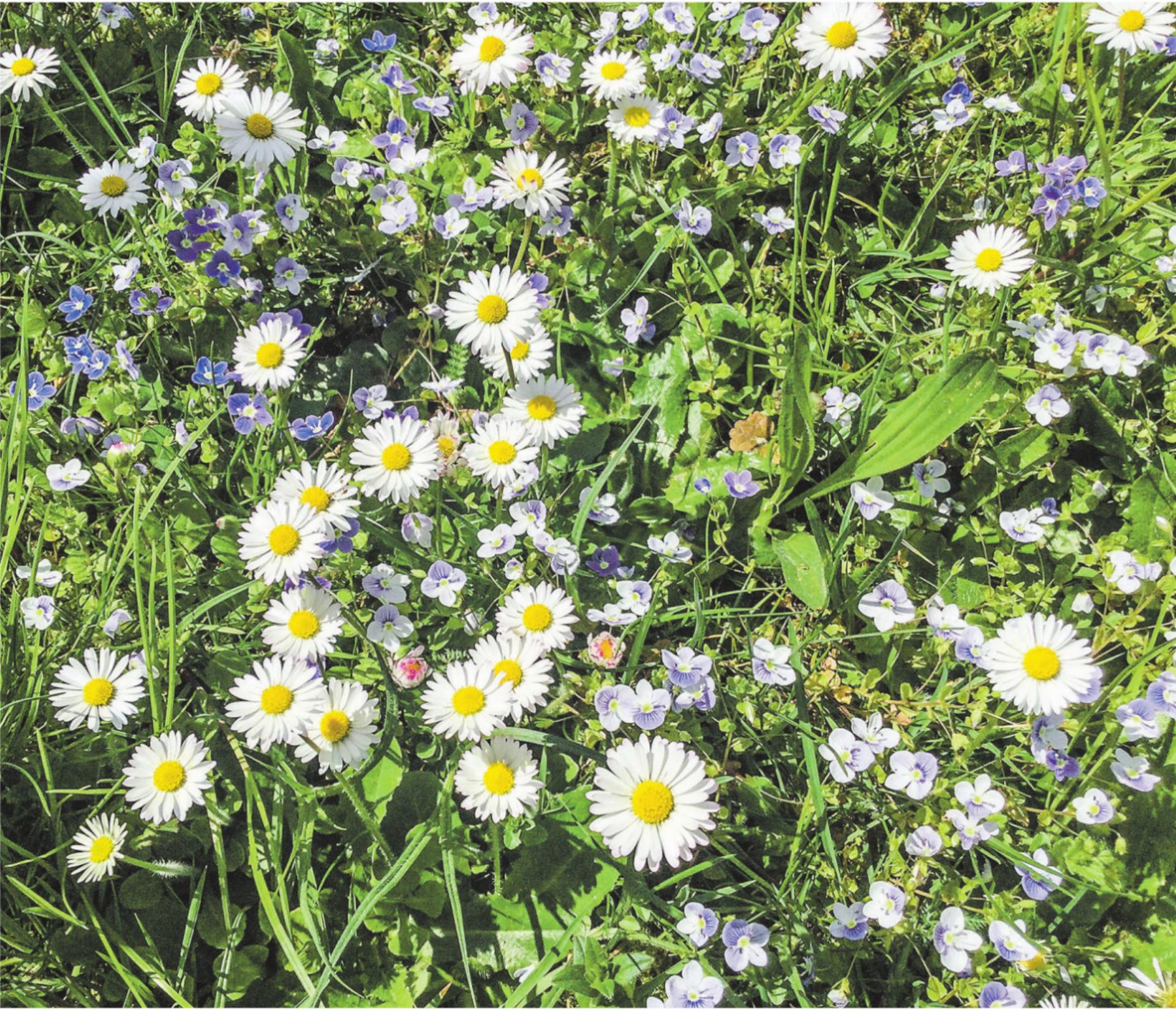 Bild des Tages - Das Bild wird blockiert. – Möglicherweise durch einen aktiven Adblocker.