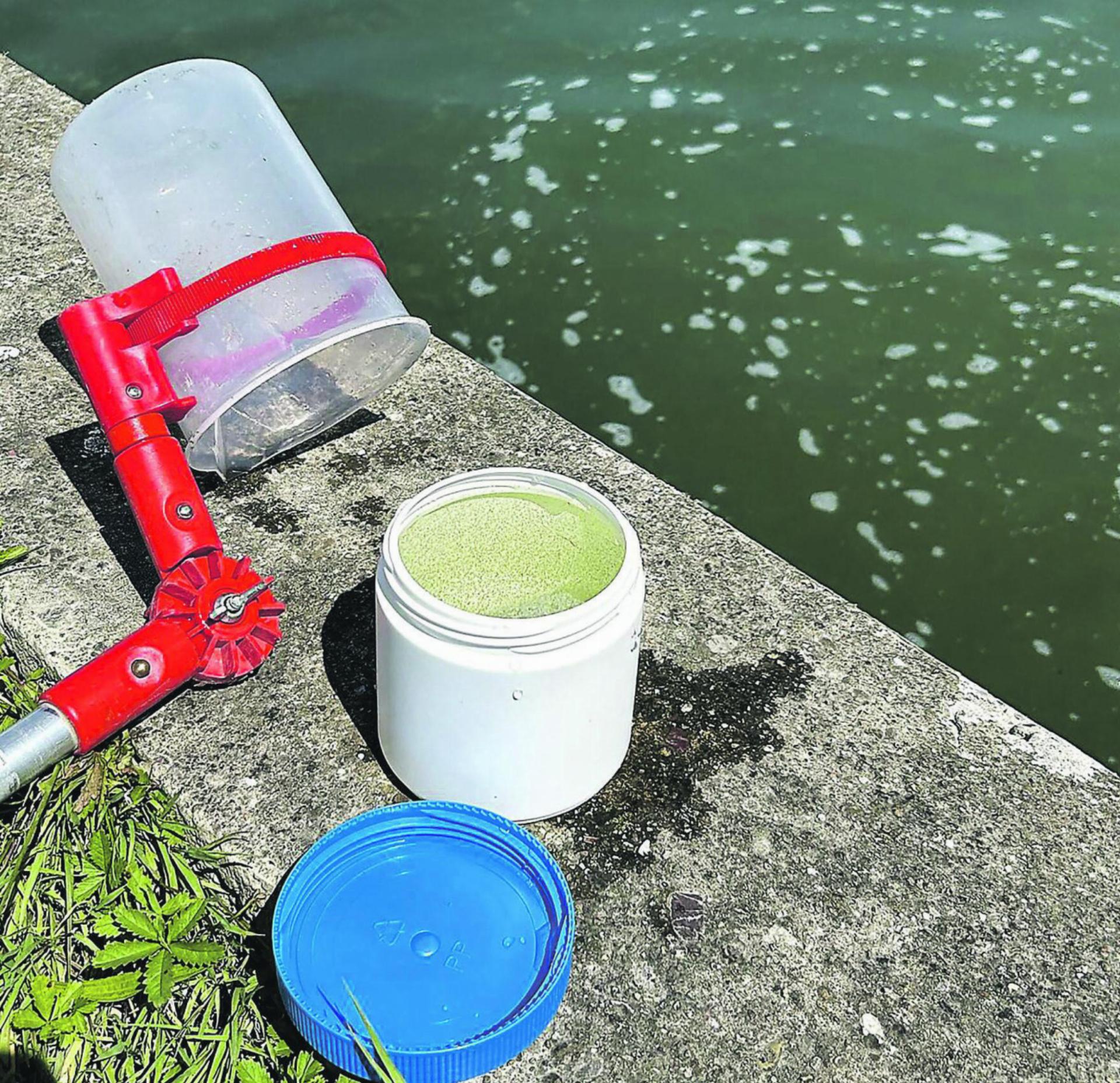 Blaualgen: Trübes Wasser vorsichtshalber meiden