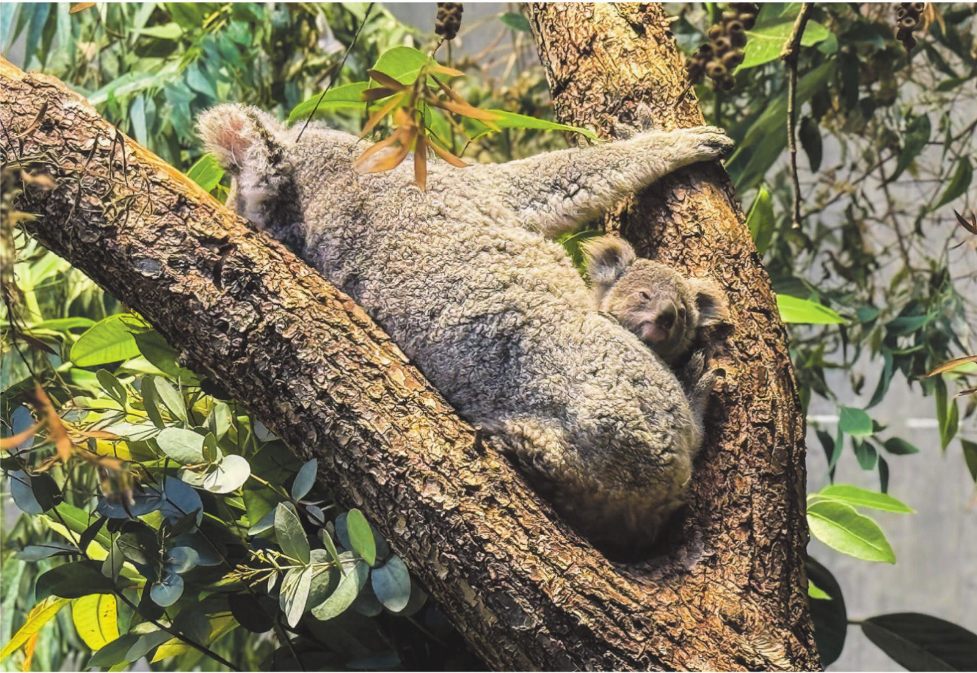 Bild des Tages - Das Bild wird blockiert. – Möglicherweise durch einen aktiven Adblocker.