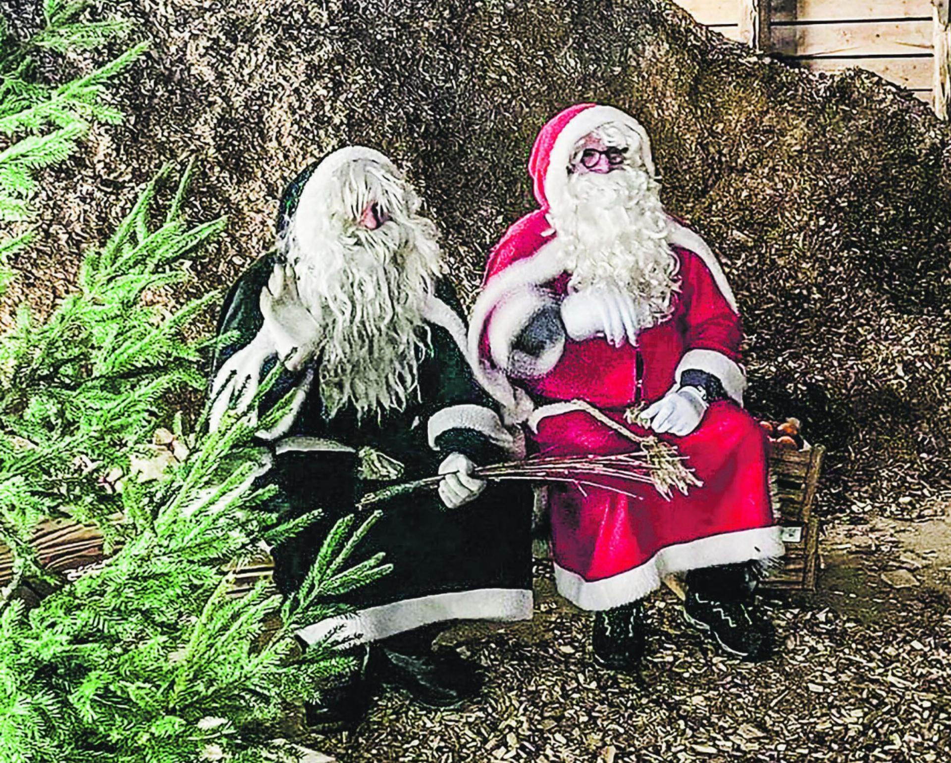 Der Samichlaus kommt zu Besuch nach Elgg - Das Bild wird blockiert. – Möglicherweise durch einen aktiven Adblocker.