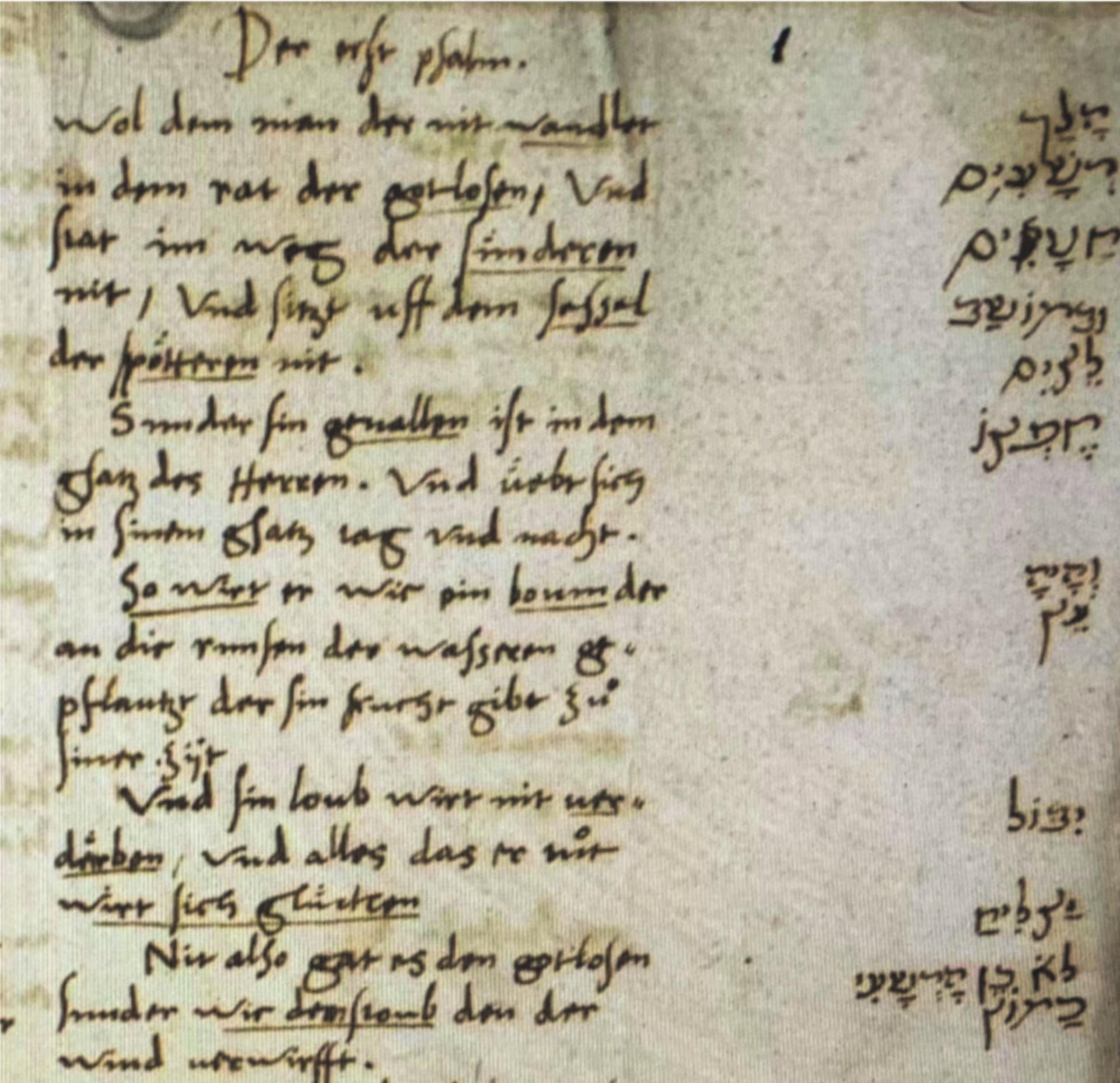 Zum frühverstorbenen Sprachgenie Jakob Wiesendanger (Ceporin) aus Dinhard und den Anfängen der Zürcher Universität vor 500 Jahren - Das Bild wird blockiert. – Möglicherweise durch einen aktiven Adblocker.