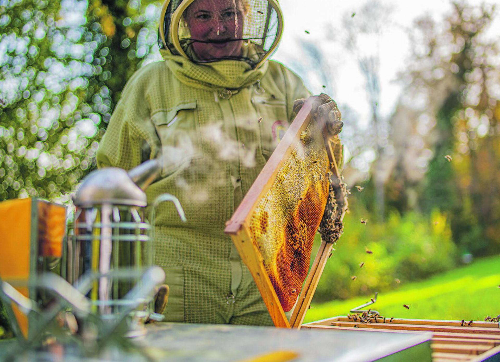 Der bevorstehende Frühling ist für Kathrin Hauser eine besondere Jahreszeit, da endlich die Zeit kommt, die Bienenvölker zu besuchen.