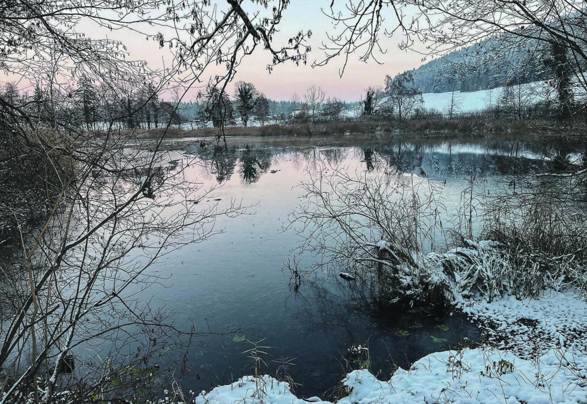 Bild des Tages - Das Bild wird blockiert. – Möglicherweise durch einen aktiven Adblocker.