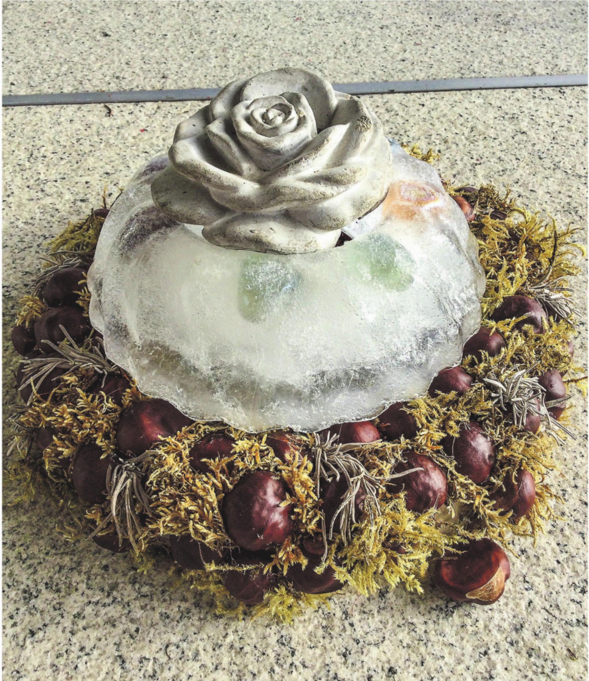 Bild des Tages - Das Bild wird blockiert. – Möglicherweise durch einen aktiven Adblocker.