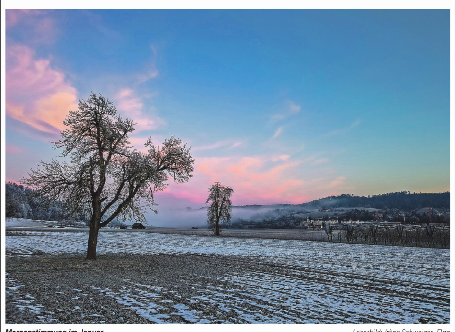 Bild des Tages - Das Bild wird blockiert. – Möglicherweise durch einen aktiven Adblocker.