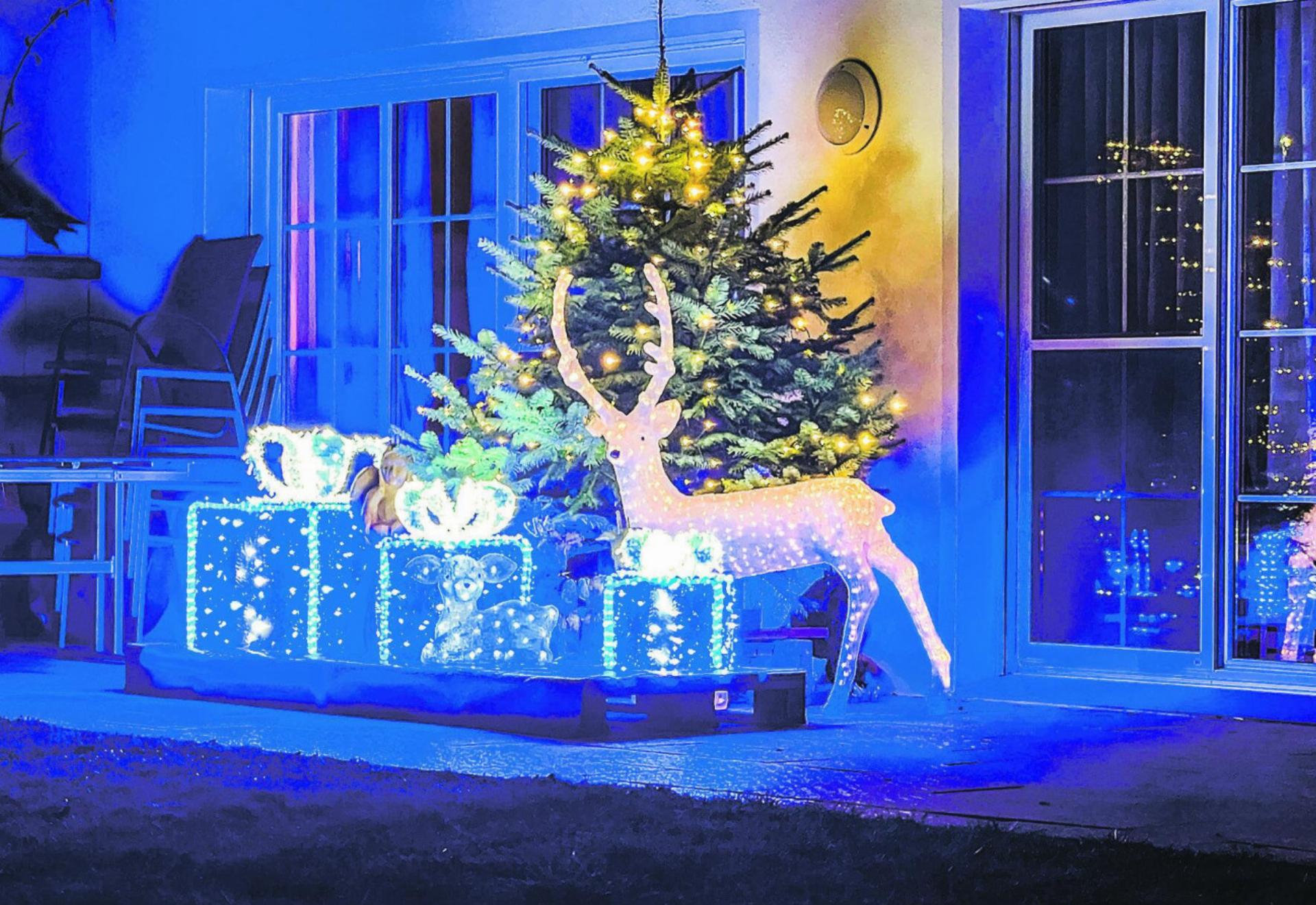 Bild des Tages - Das Bild wird blockiert. – Möglicherweise durch einen aktiven Adblocker.