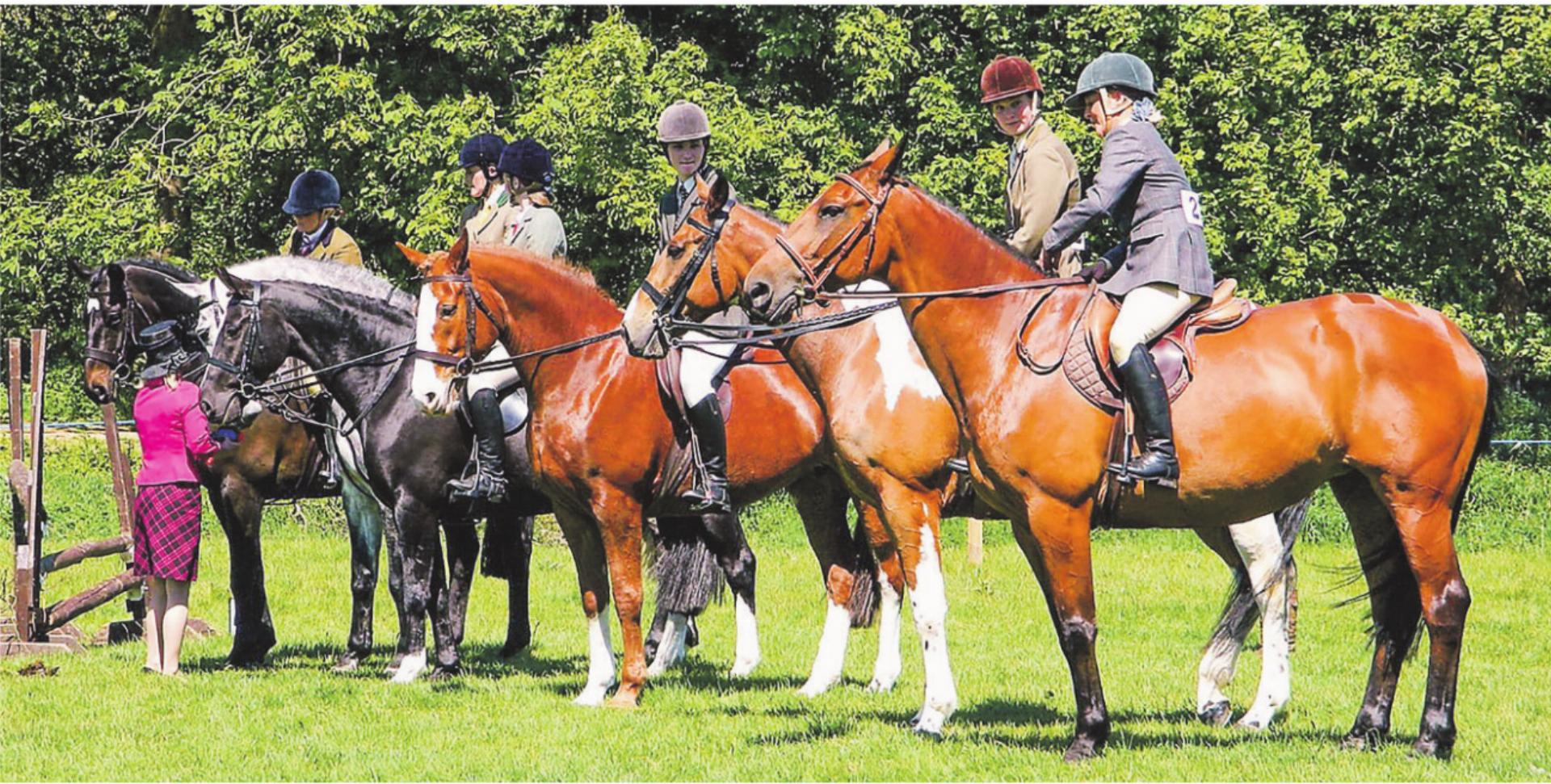 Georgi-Ritt in Elgg mit Segnung von Pferden und Reitern - Das Bild wird blockiert. – Möglicherweise durch einen aktiven Adblocker.