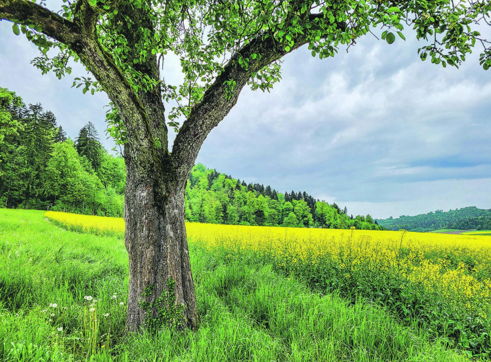 Bild des Tages