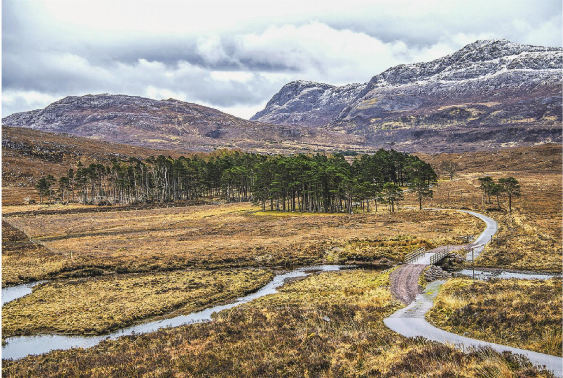 Ein neues Jahr für zweite Chancen - Das Bild wird blockiert. – Möglicherweise durch einen aktiven Adblocker.