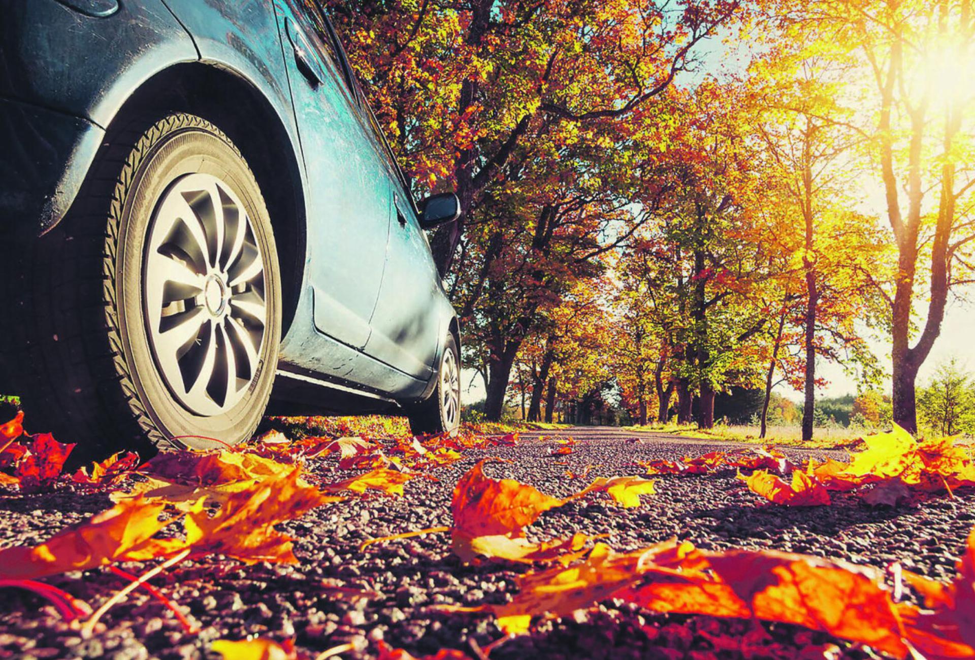 Unterwegs im Herbst: Die Ratschläge des TCS