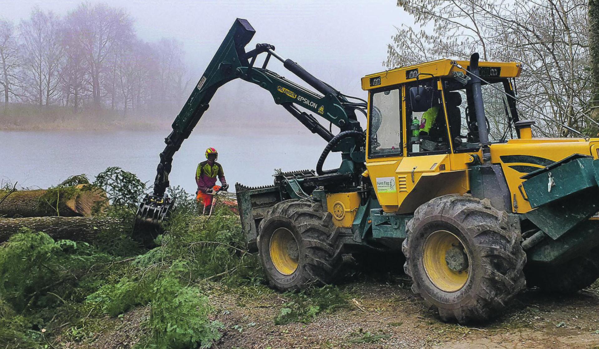 Als Vorbereitung auf die Sanierung fällte Forst Elgg die Bäume auf dem Damm. Bild: zvg