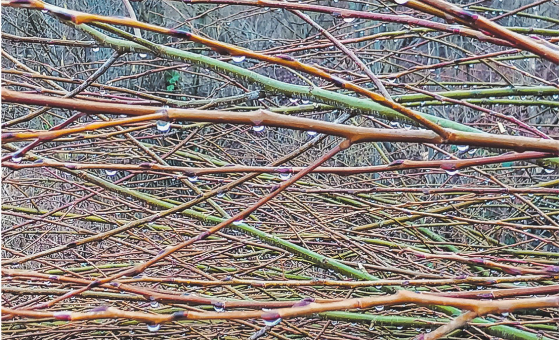 Bild des Tages - Das Bild wird blockiert. – Möglicherweise durch einen aktiven Adblocker.