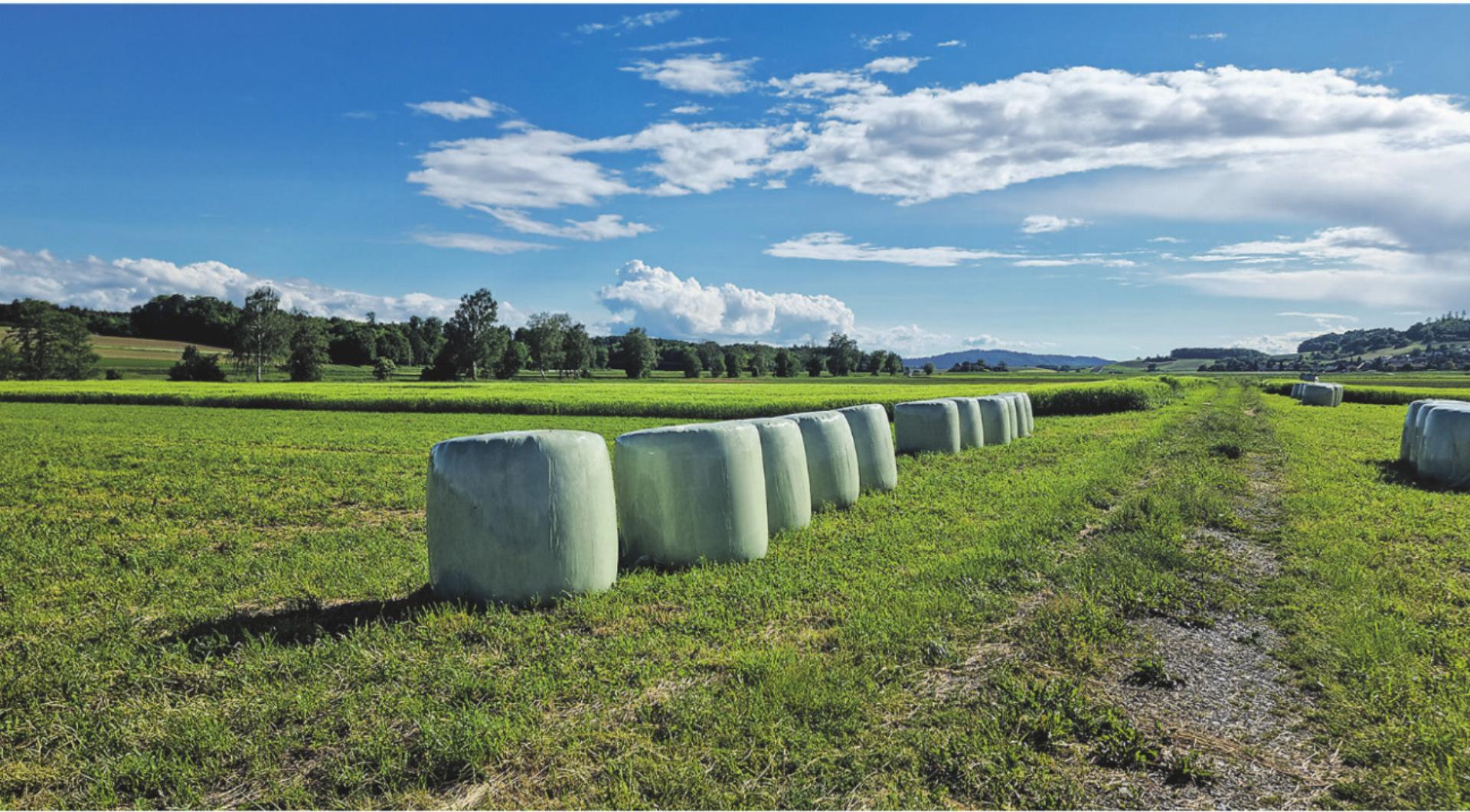 Klimatische Spannbreite prägte das Landwirtschaftsjahr - Das Bild wird blockiert. – Möglicherweise durch einen aktiven Adblocker.