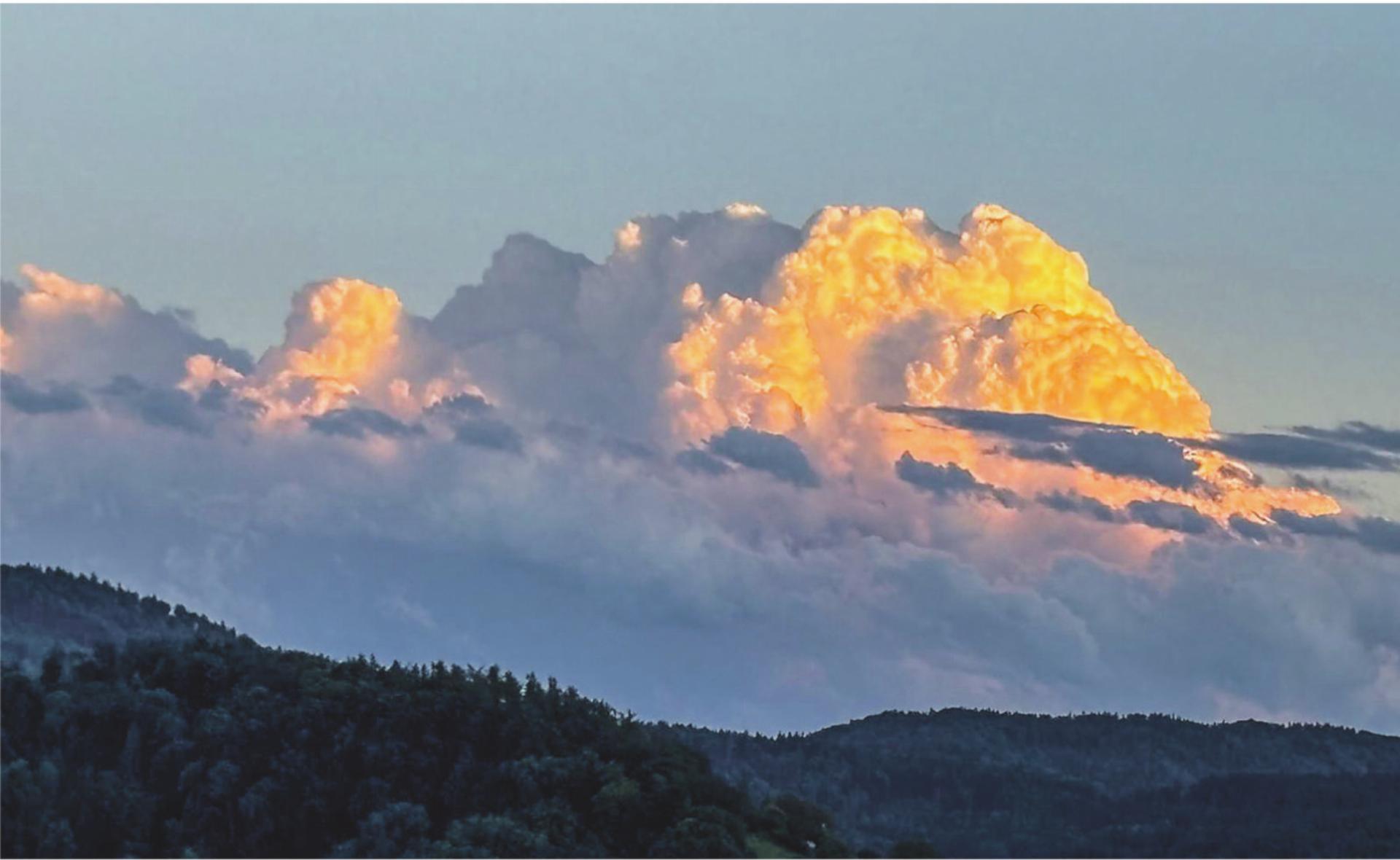 Bild des Tages - Das Bild wird blockiert. – Möglicherweise durch einen aktiven Adblocker.