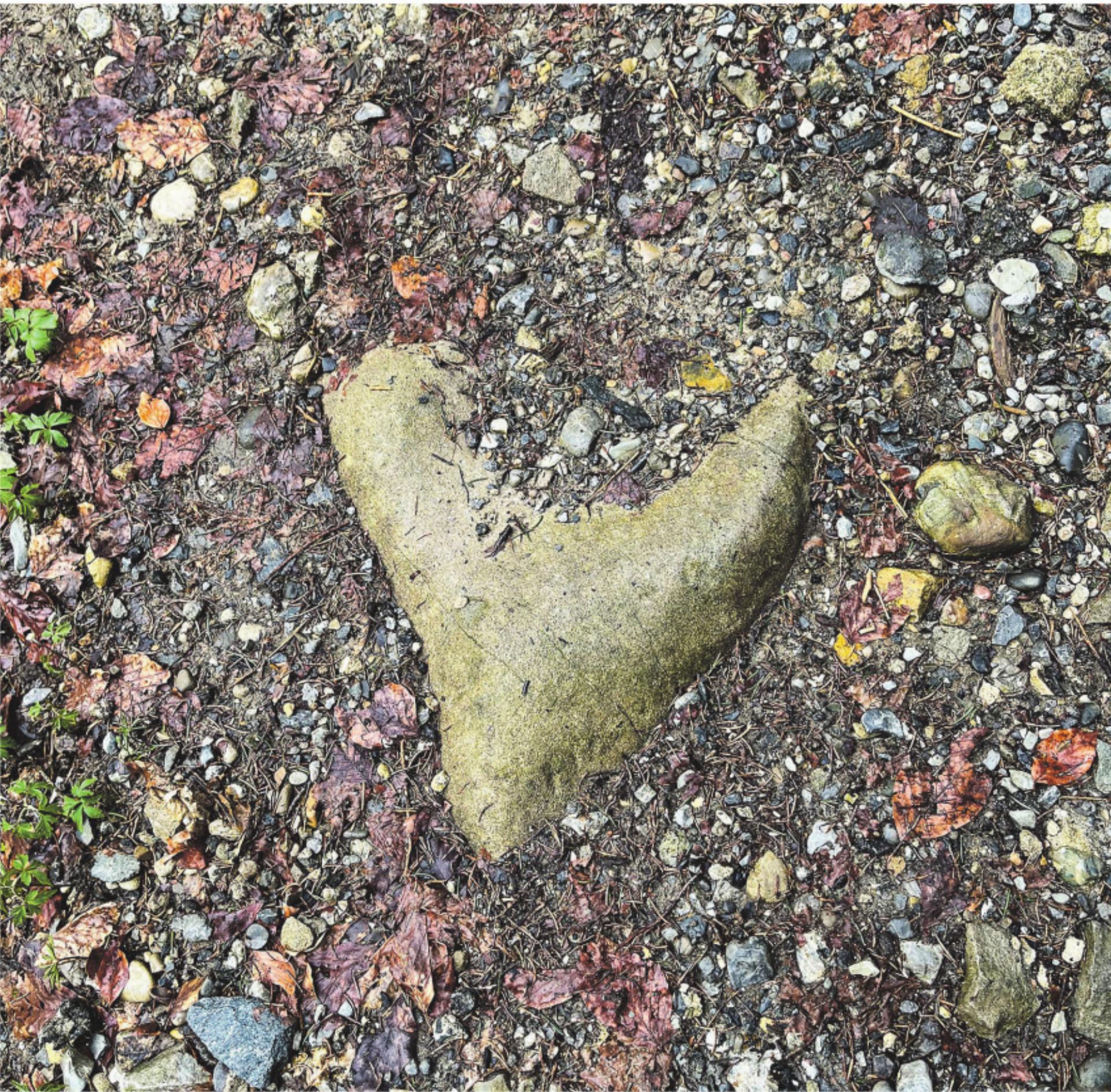 Bild des Tages - Das Bild wird blockiert. – Möglicherweise durch einen aktiven Adblocker.