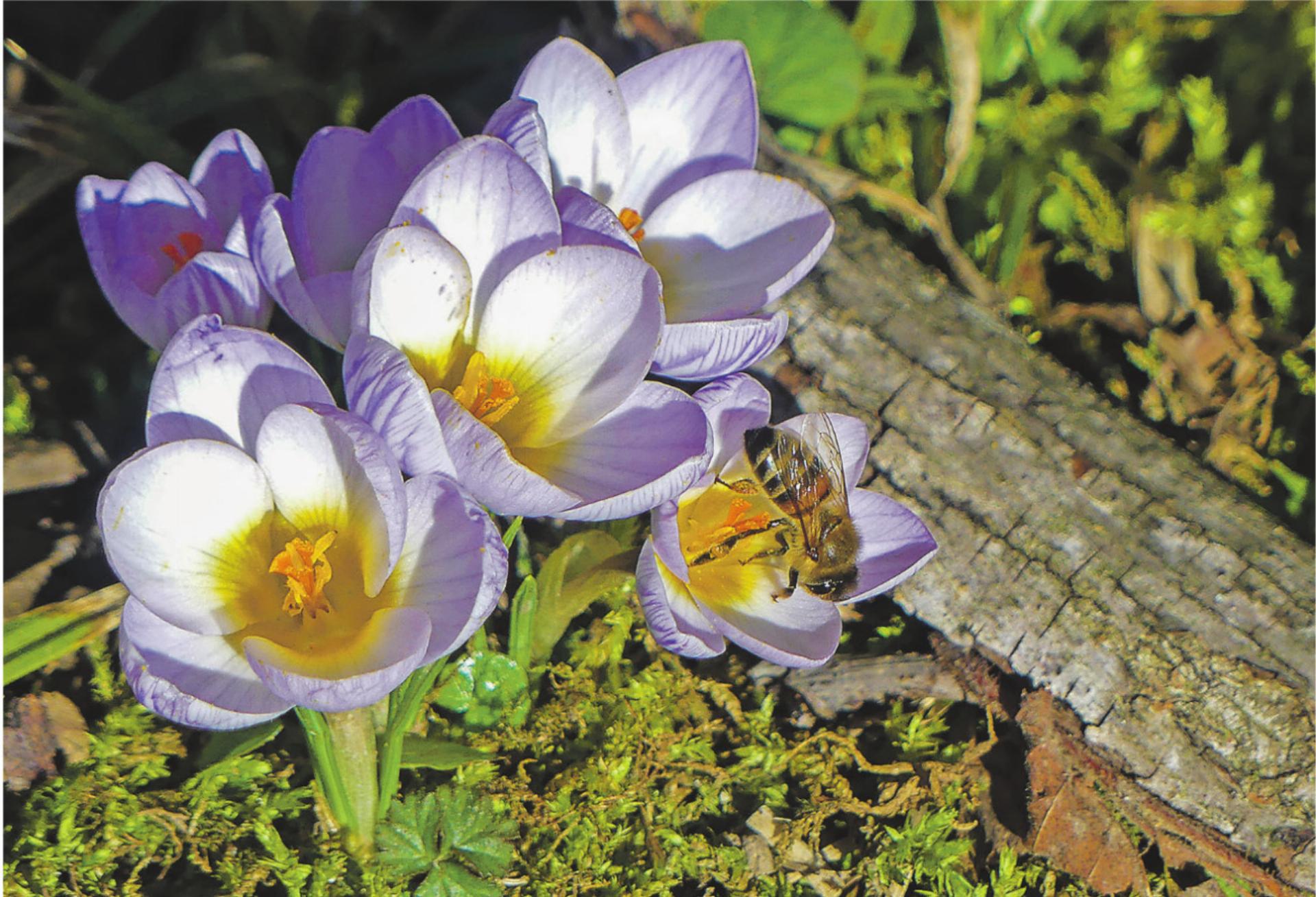 Bild des Tages - Das Bild wird blockiert. – Möglicherweise durch einen aktiven Adblocker.