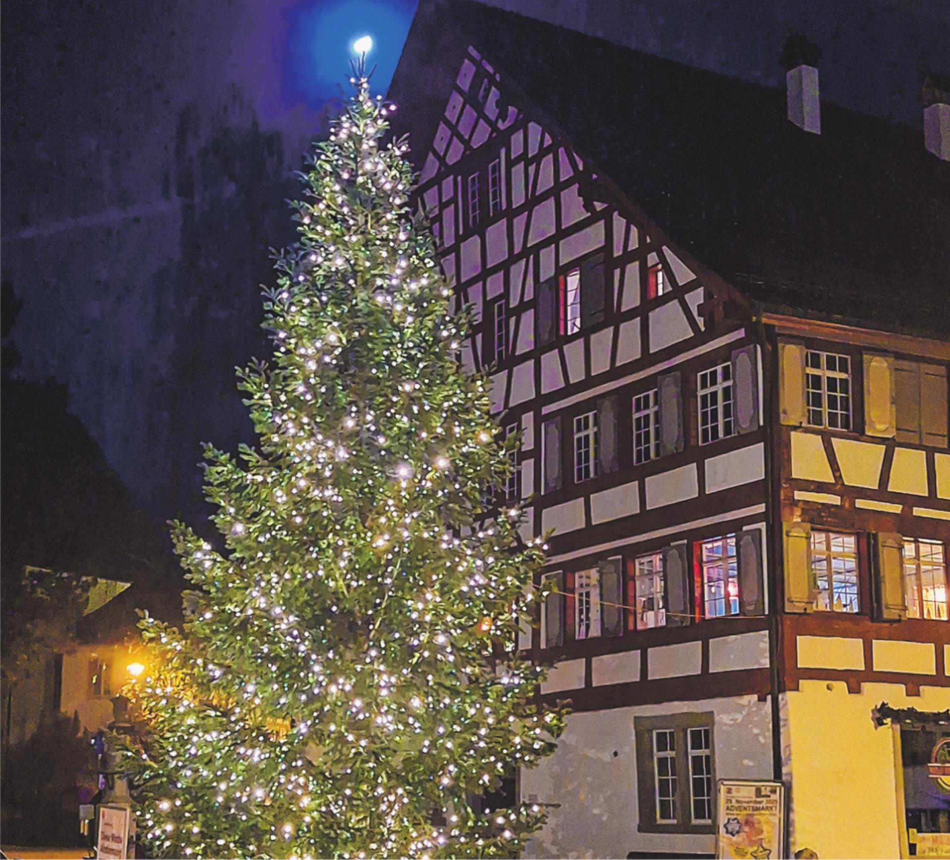 Bild des Tages - Das Bild wird blockiert. – Möglicherweise durch einen aktiven Adblocker.