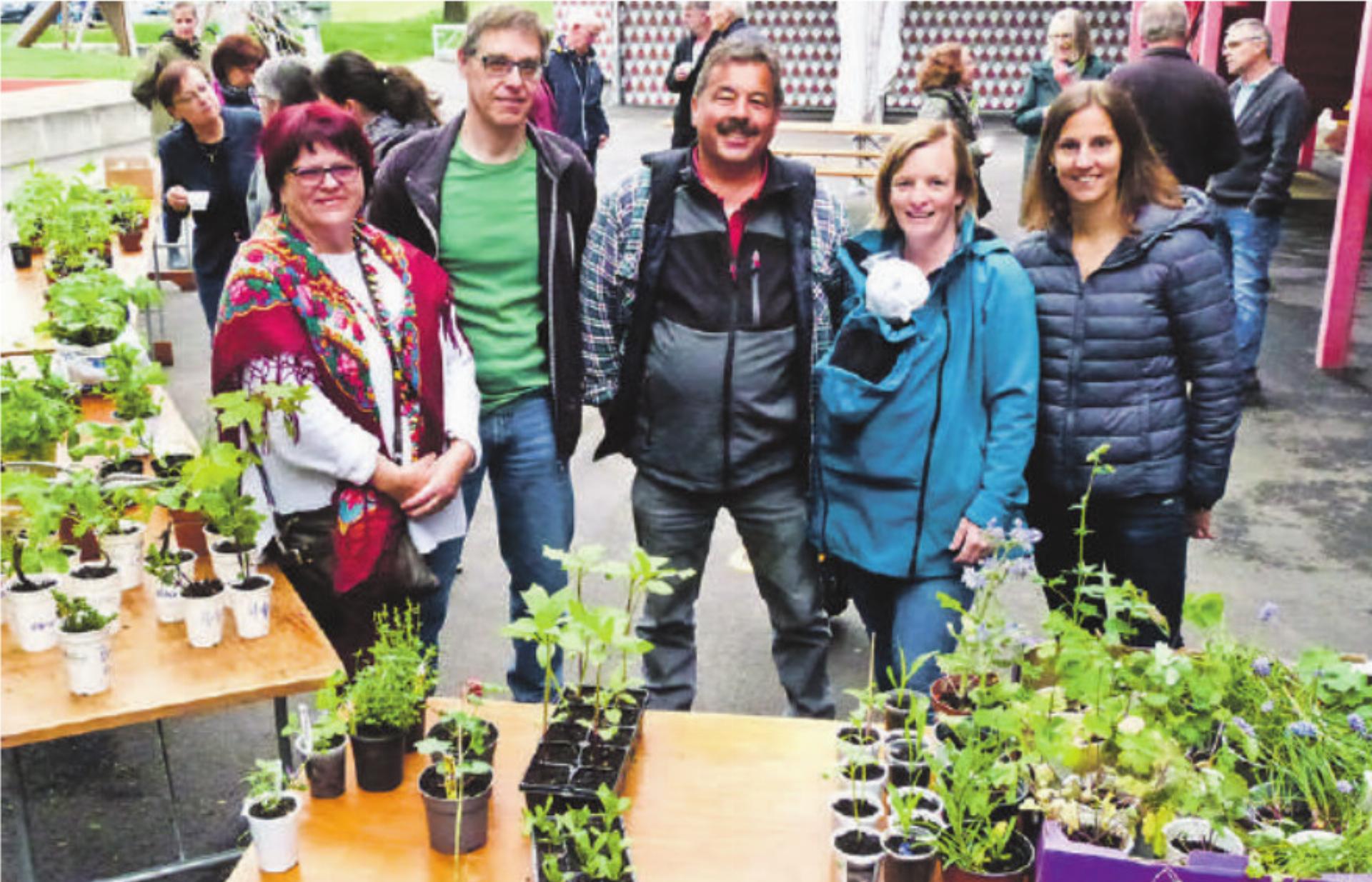 Pflanzen ausgetauscht und wieder eingesetzt
