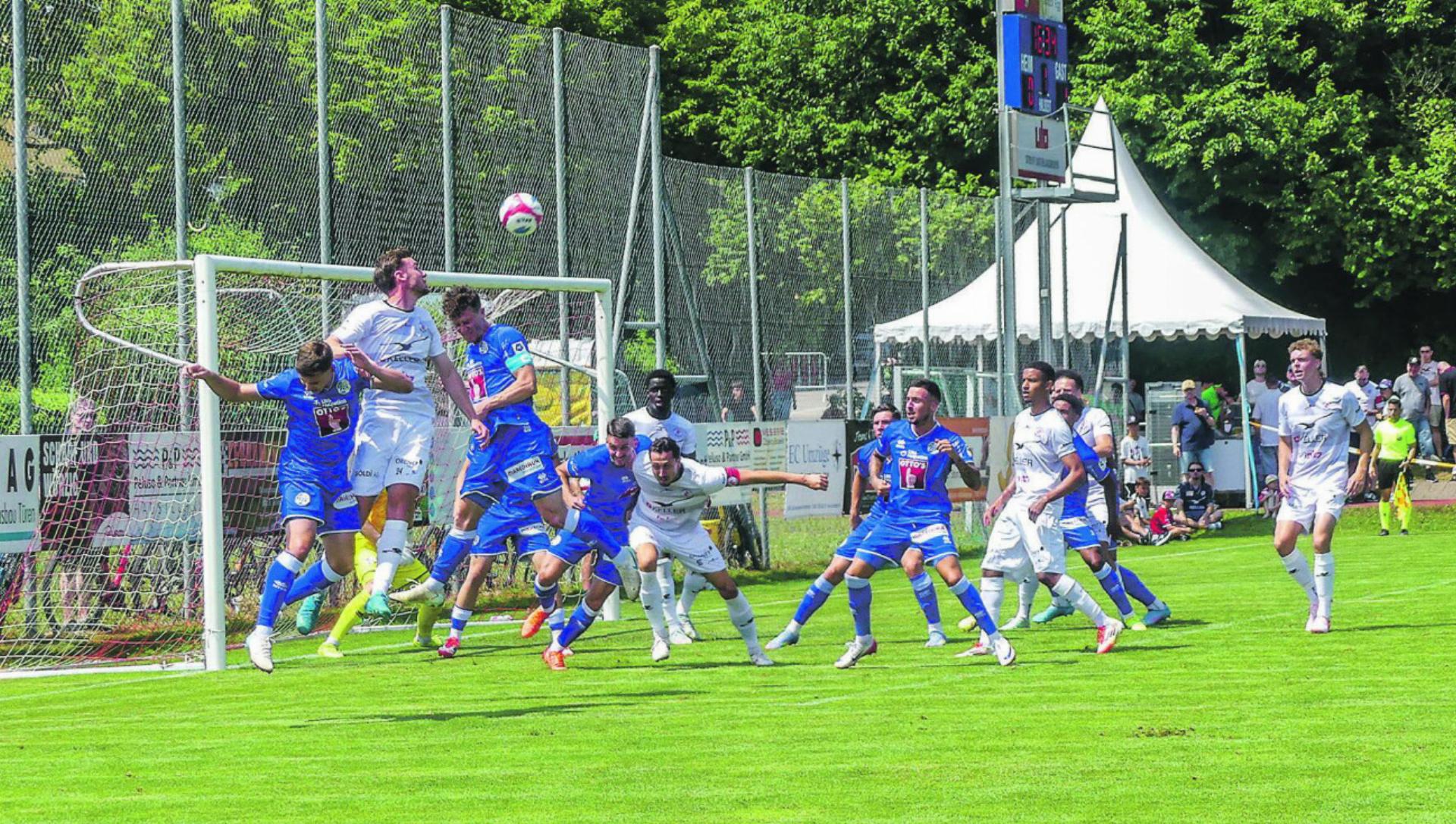 Bild des Tages