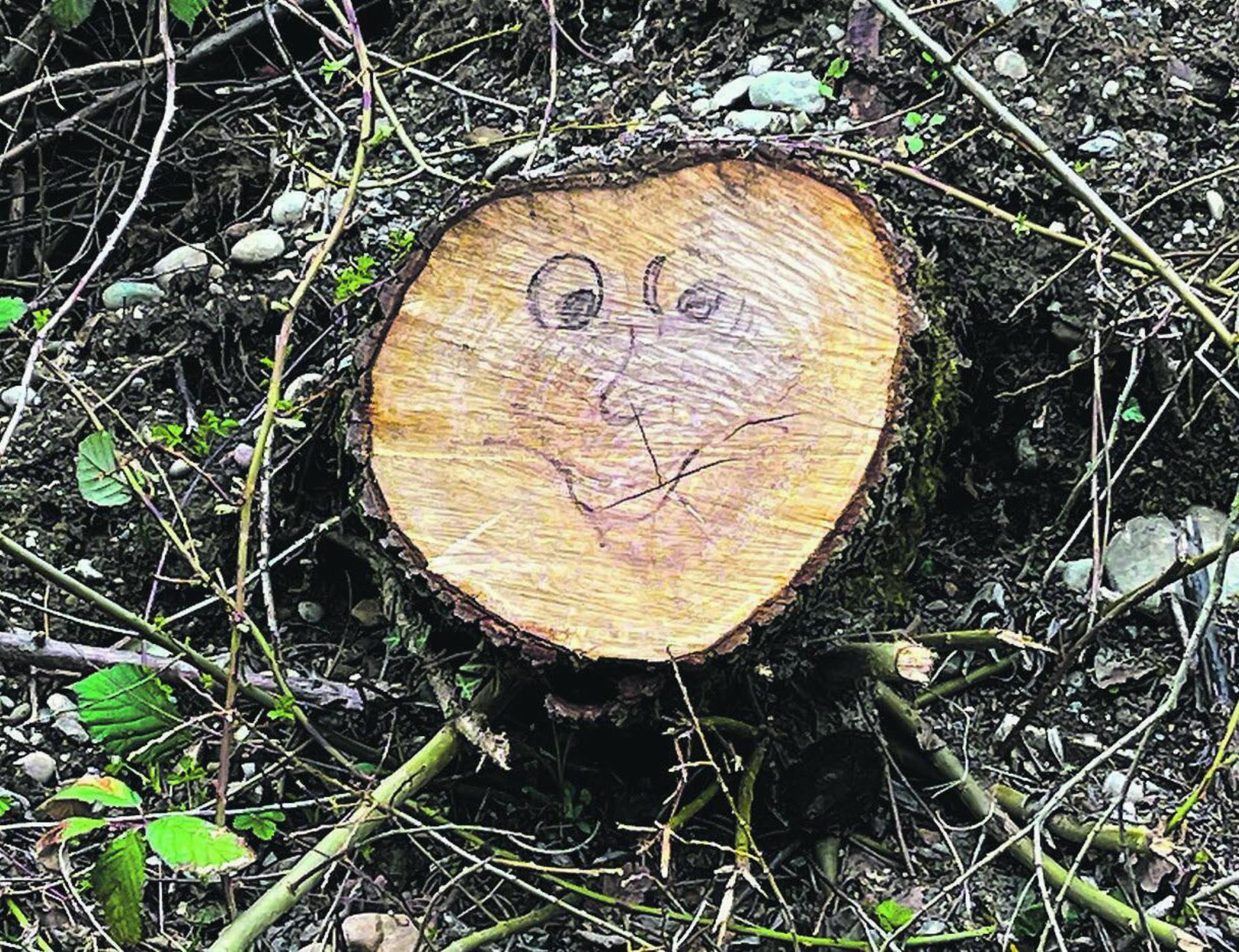 Ein lachender Baumstrunk. Leserbild: Irene Hess, Aadorf