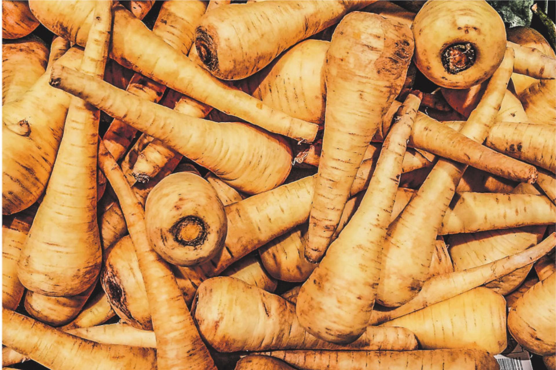 Winterwurzel mit feiner Süsse - Das Bild wird blockiert. – Möglicherweise durch einen aktiven Adblocker.