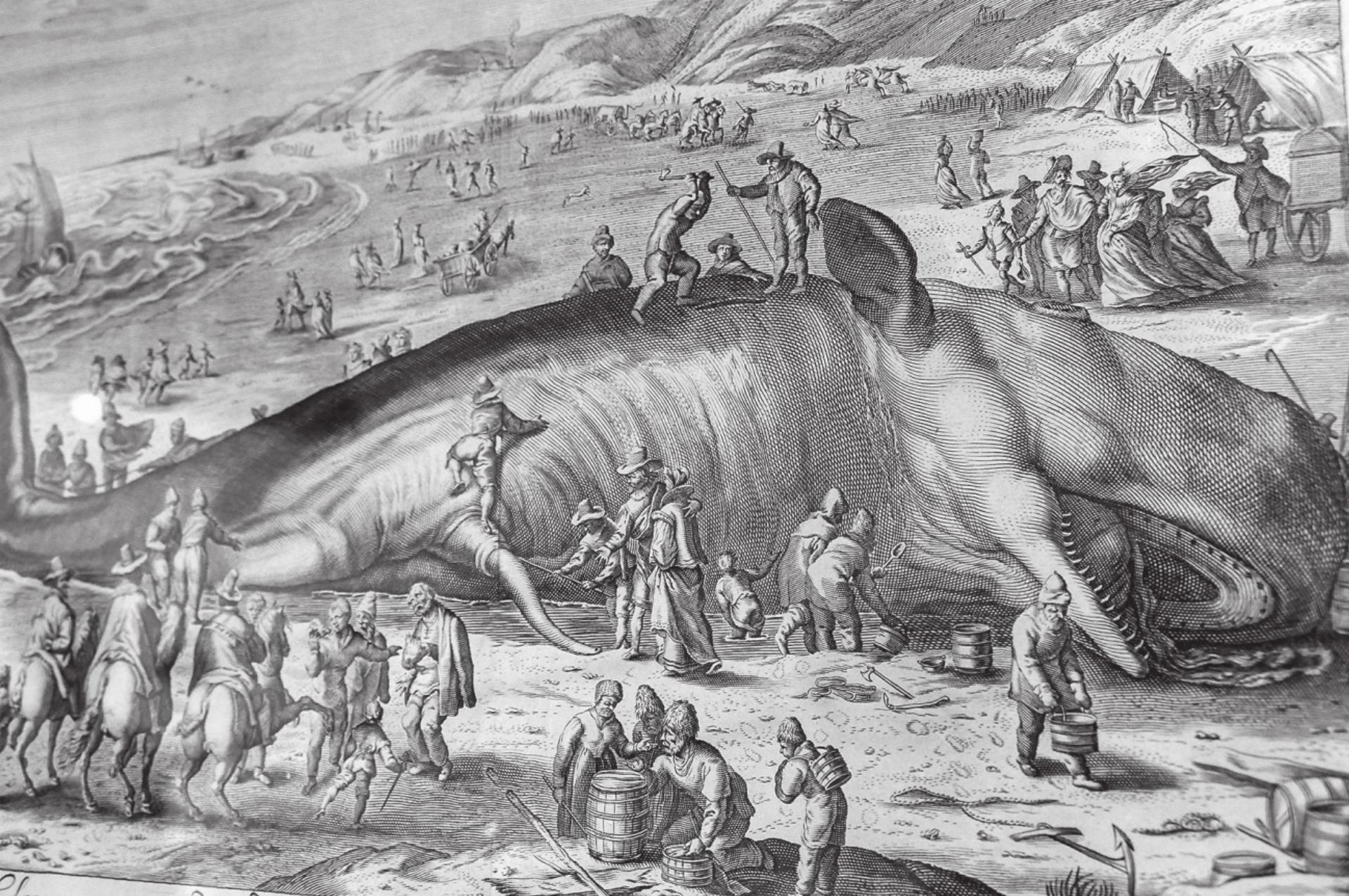 Bild des Tages - Das Bild wird blockiert. – Möglicherweise durch einen aktiven Adblocker.