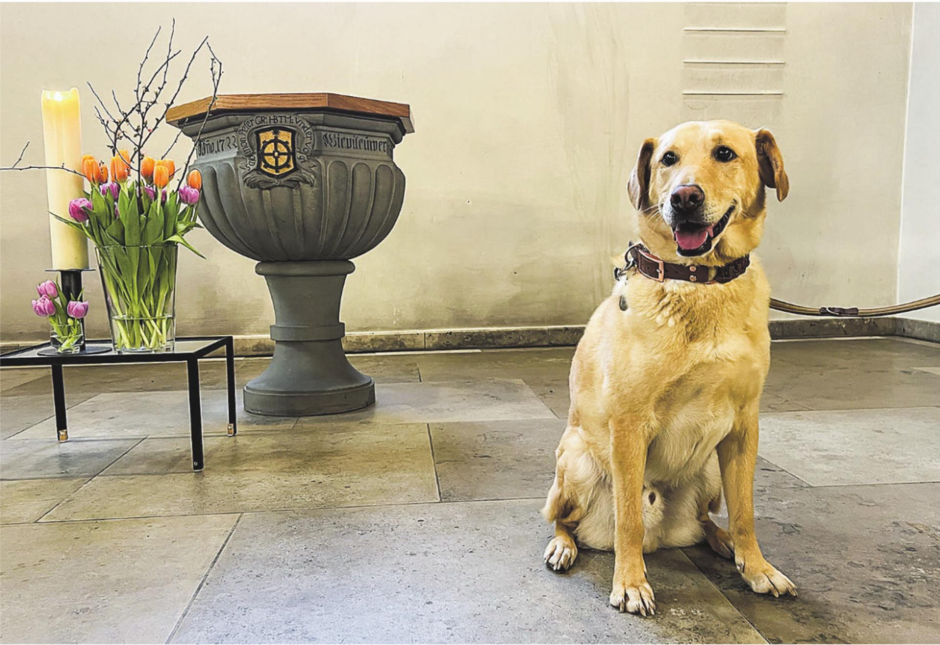 Mit den geliebten Freunden Gemeinschaft leben - Das Bild wird blockiert. – Möglicherweise durch einen aktiven Adblocker.